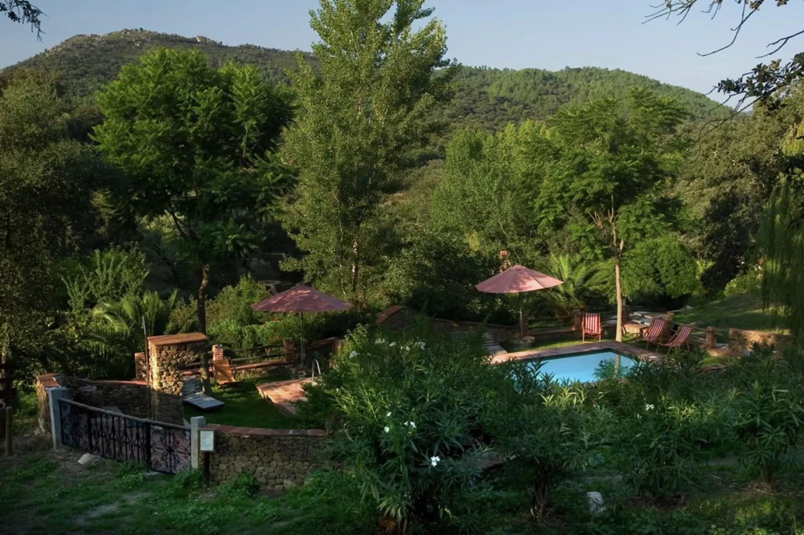 The Turtle-Pool