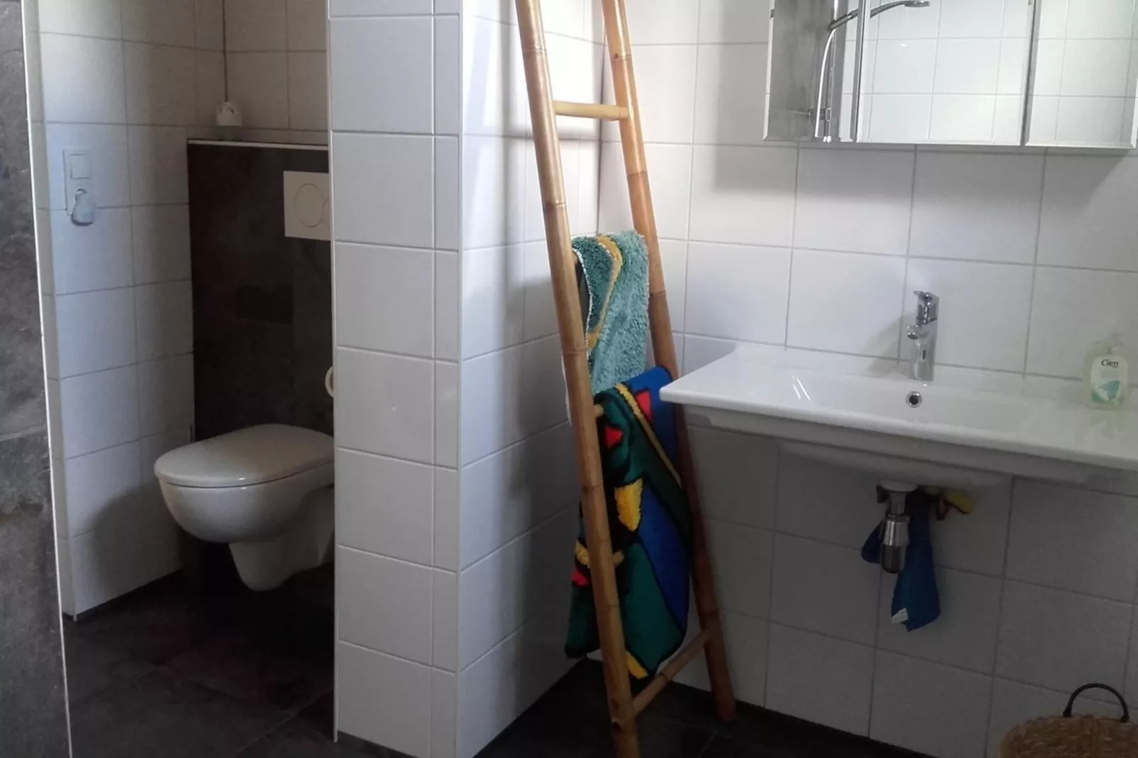 Zeewaard 5-Bathroom