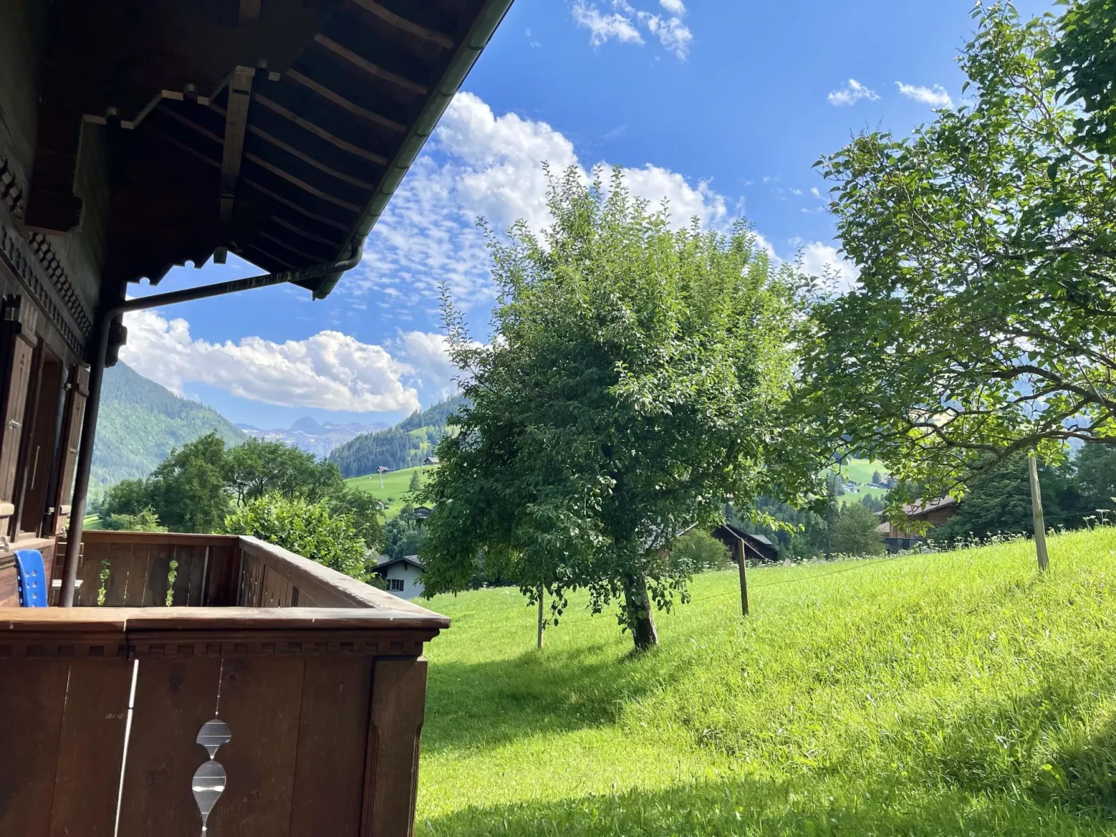 Akelei (gross)-Draußen