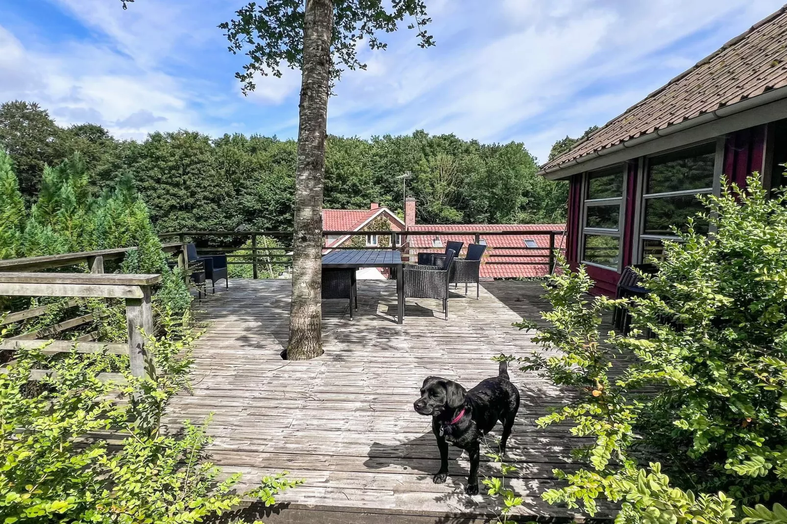 6 person holiday home in Asperup-Outdoor