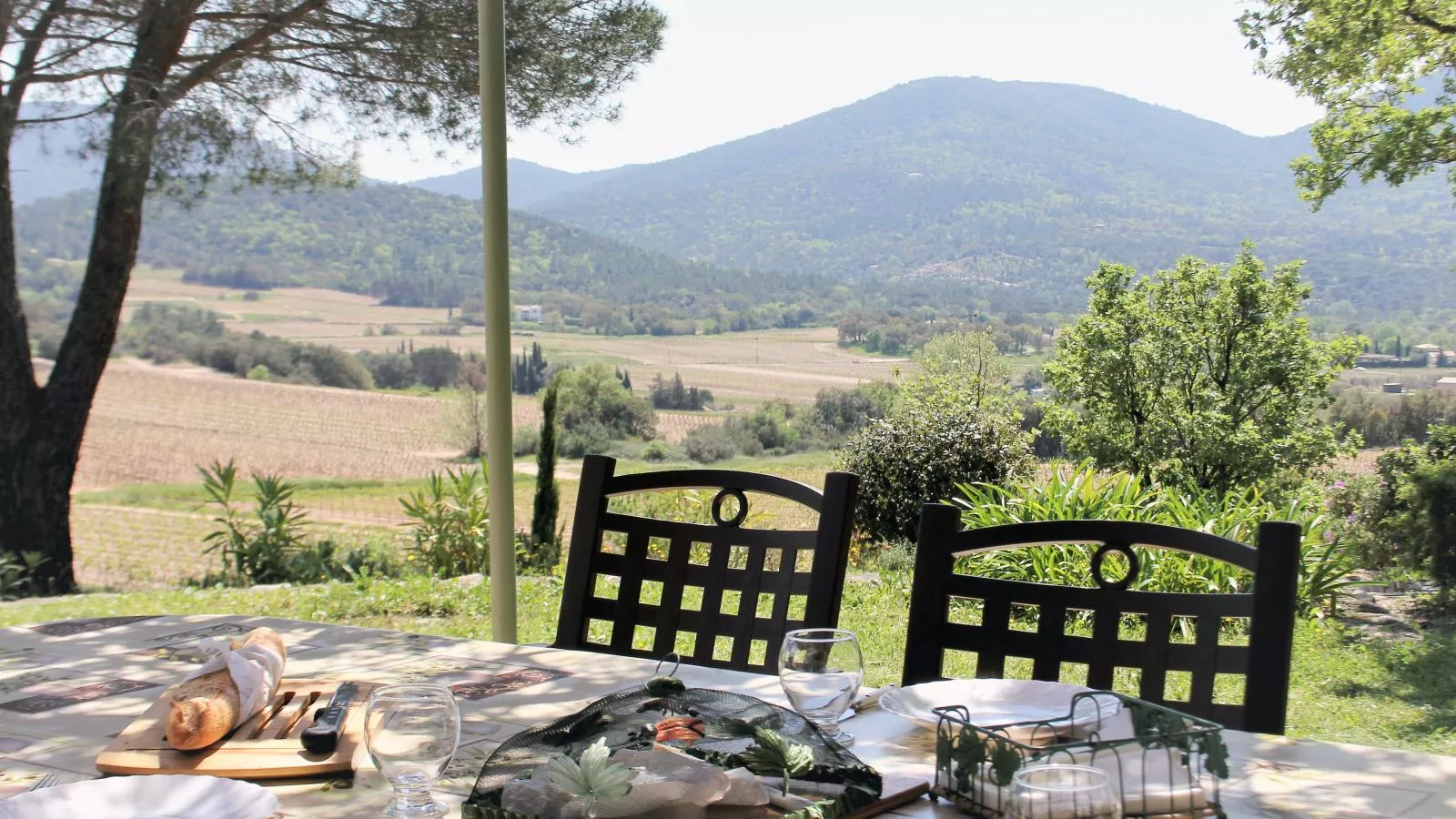 Entre les vignes-View summer