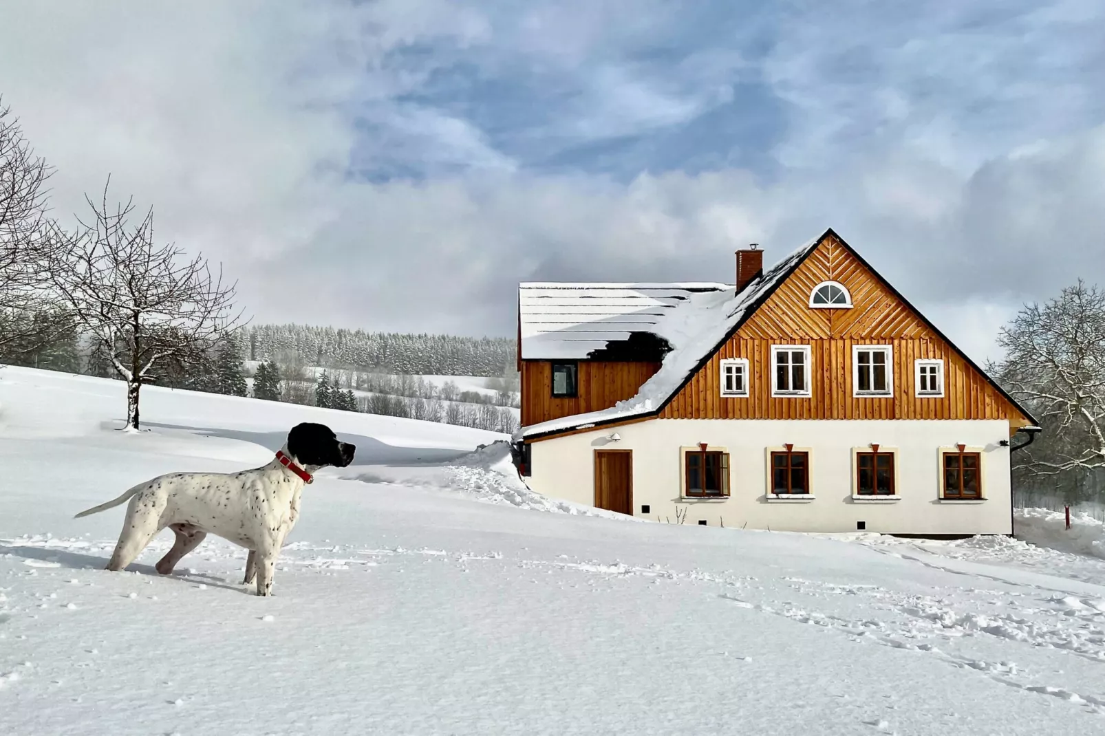 Víchová nad Jizerou LVV033-Outdoor