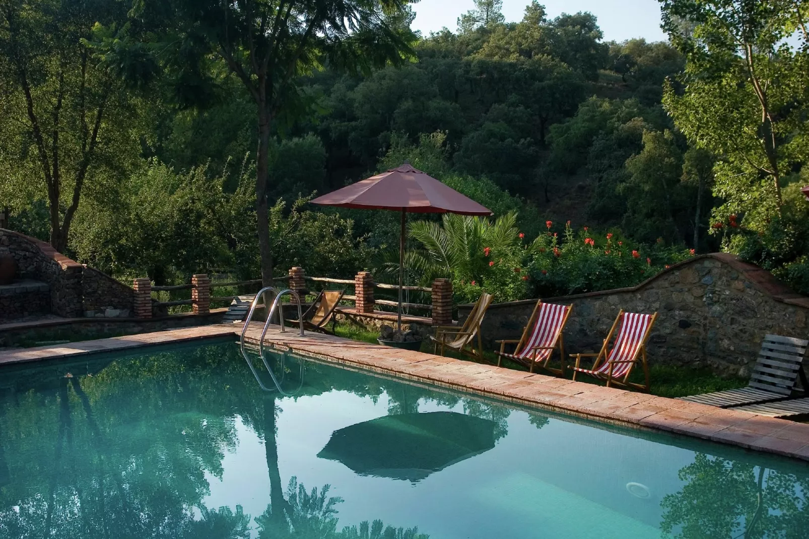 The Turtle-Pool