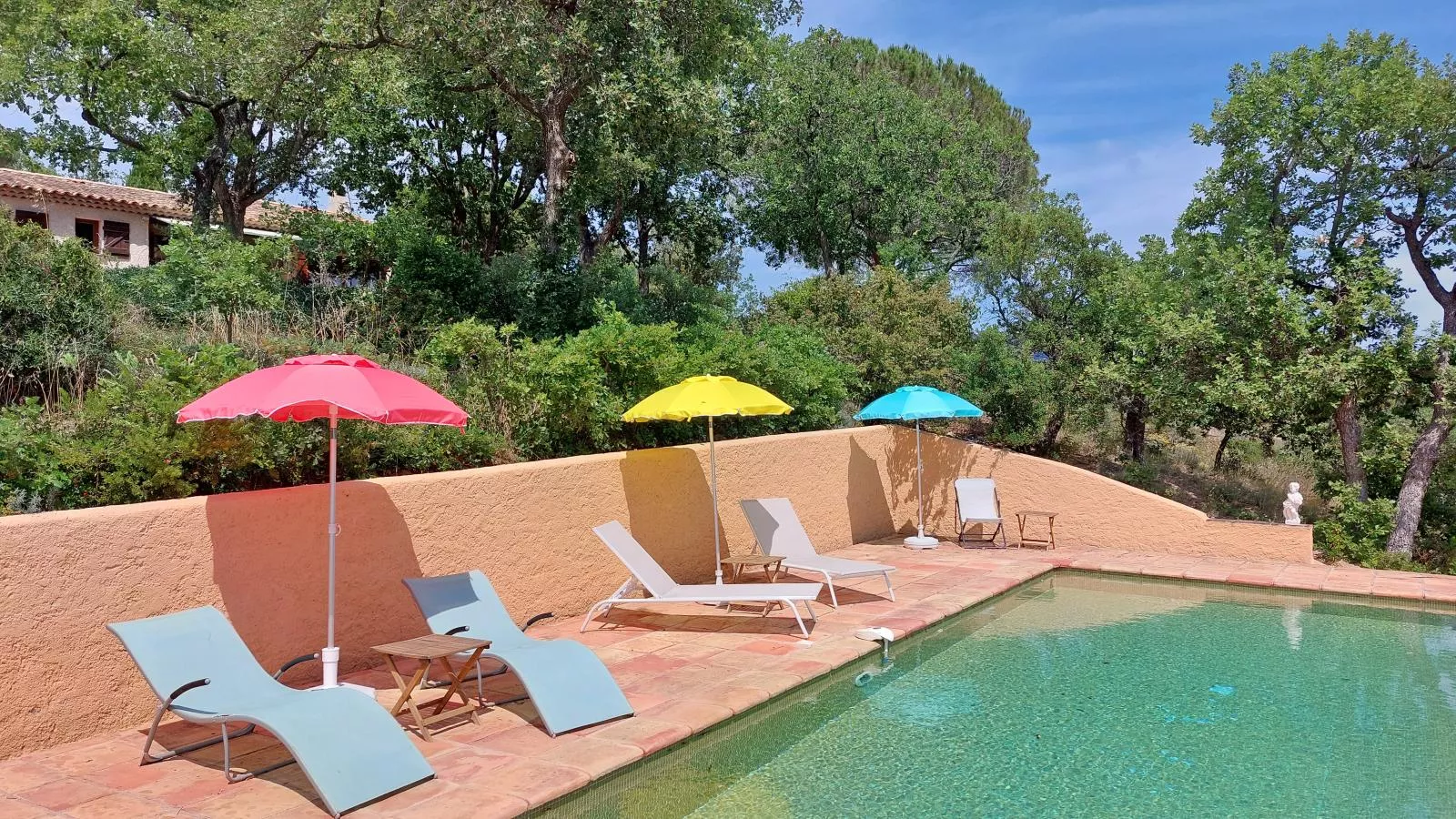 Entre les vignes-Pool