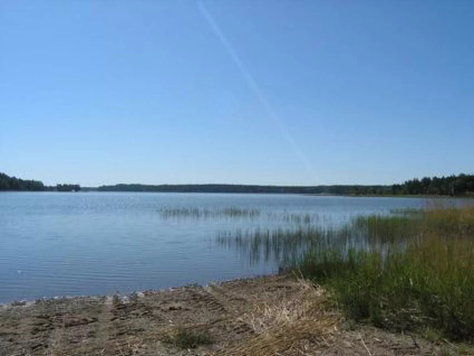 Metsämarja-Outside