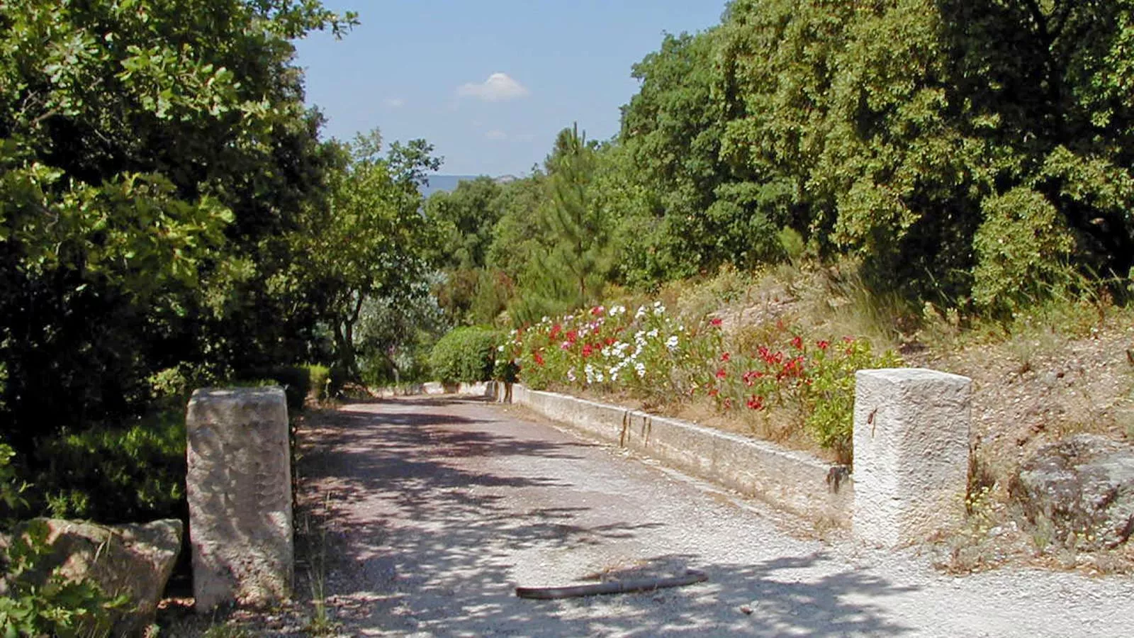 Entre les vignes-Areas summer 1km