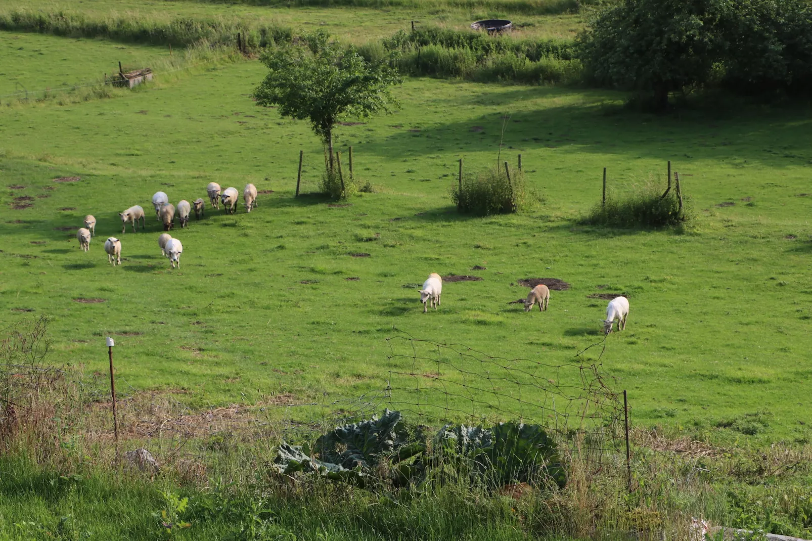 Le Gîte Mariette-Aussicht Sommer