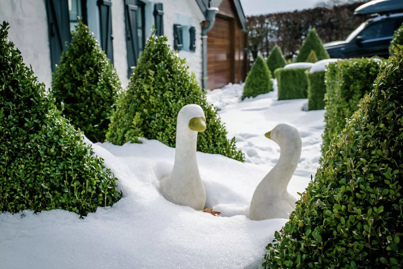 Les Oies-Garden winter