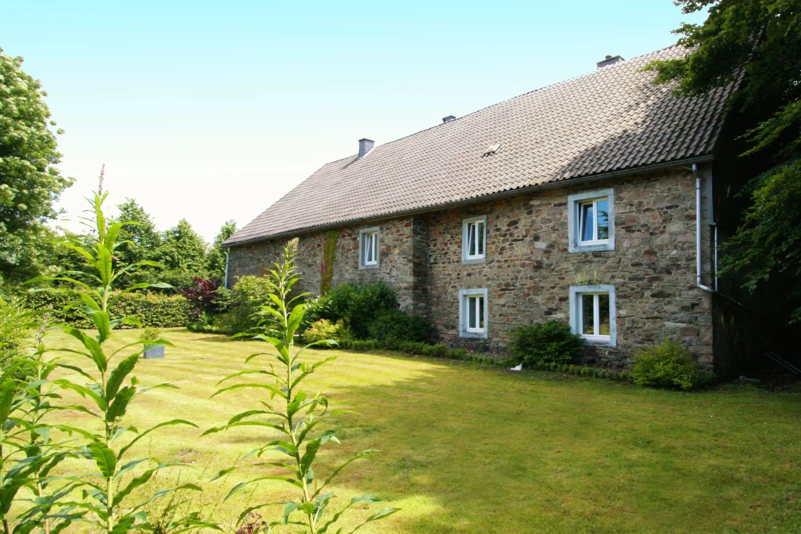 Domaine des Bouts de Fagnes-Exterior summer
