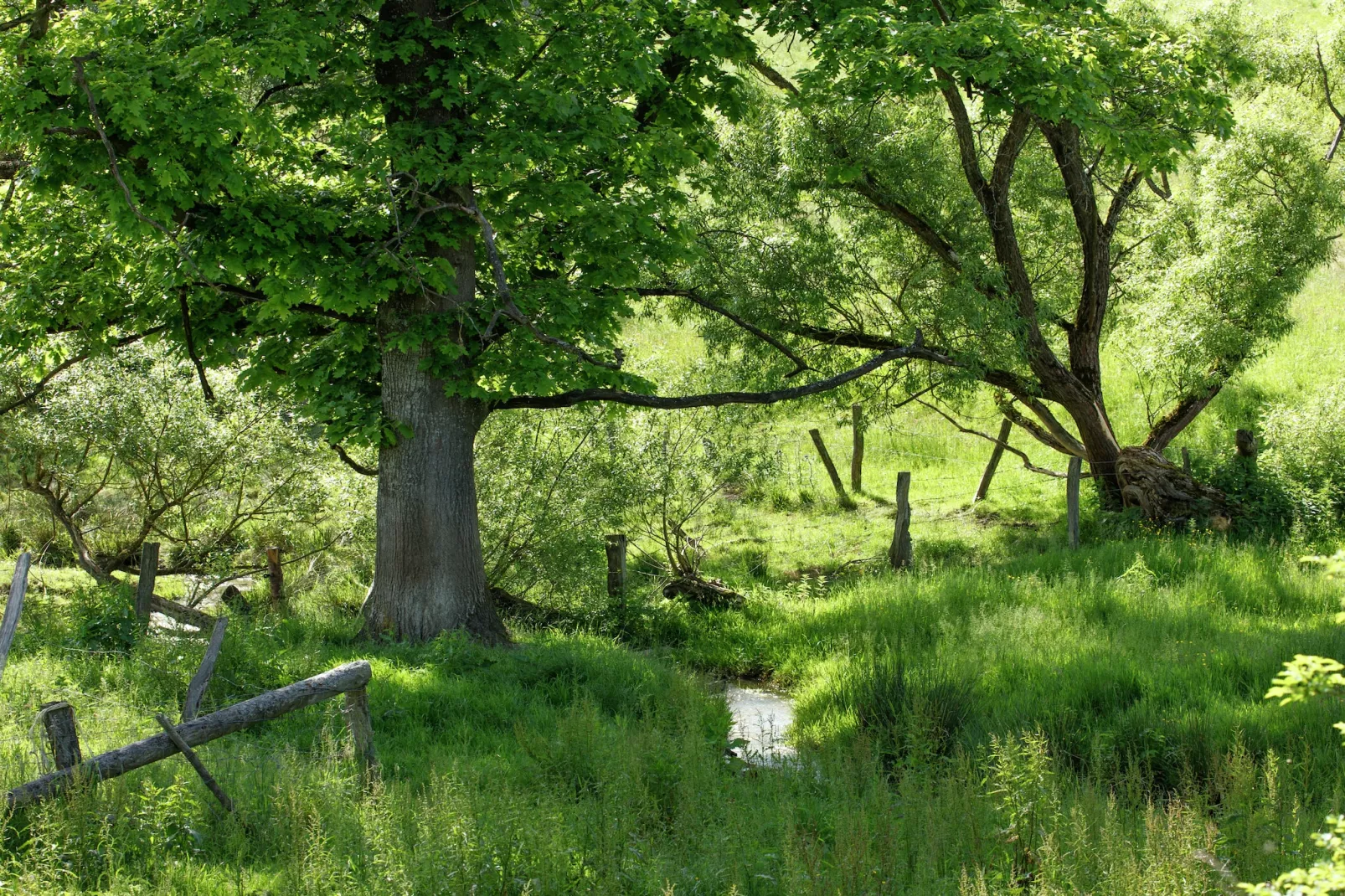 A Tchappe Mele-Vue d'été