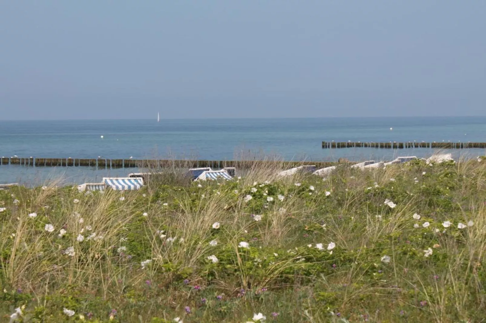 Steffen plus-Gebiete Sommer 20 km