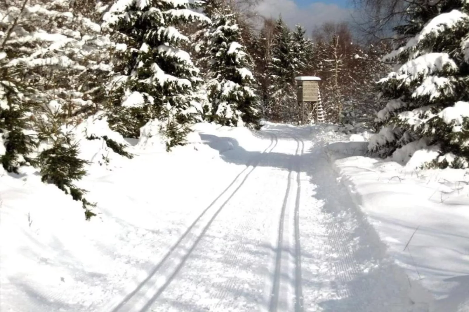 Waldferienhaus-Area winter 5km