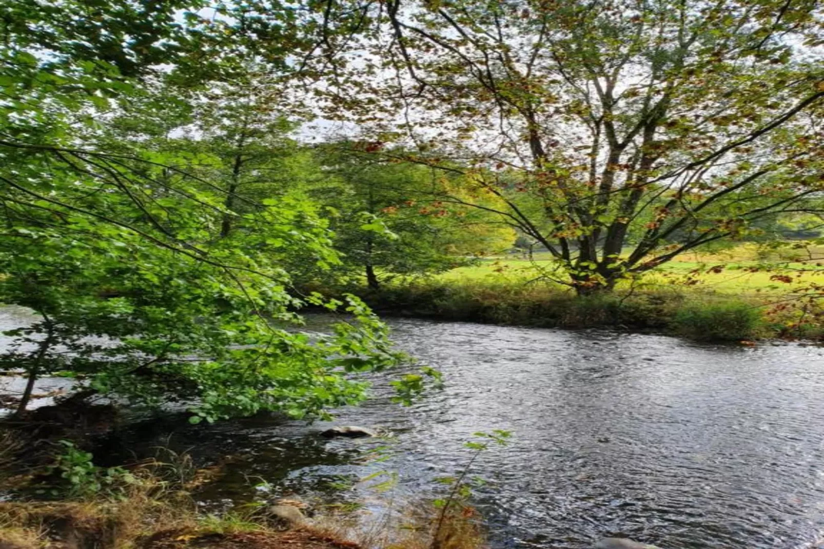 Im Westerwald-Areas summer 20km