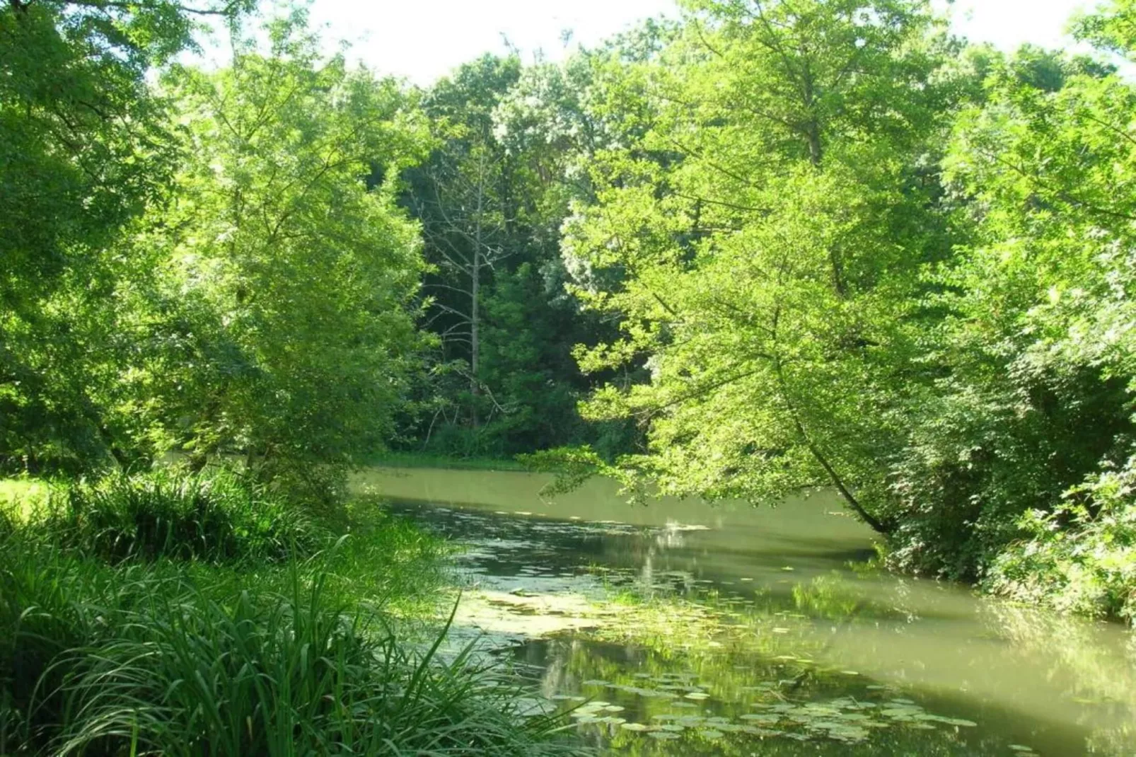 Residence Les Jardins Renaissance 2-Gebiete Sommer 5 km