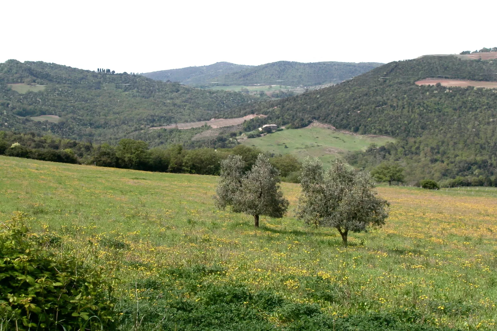 Casa Tiglio-View summer