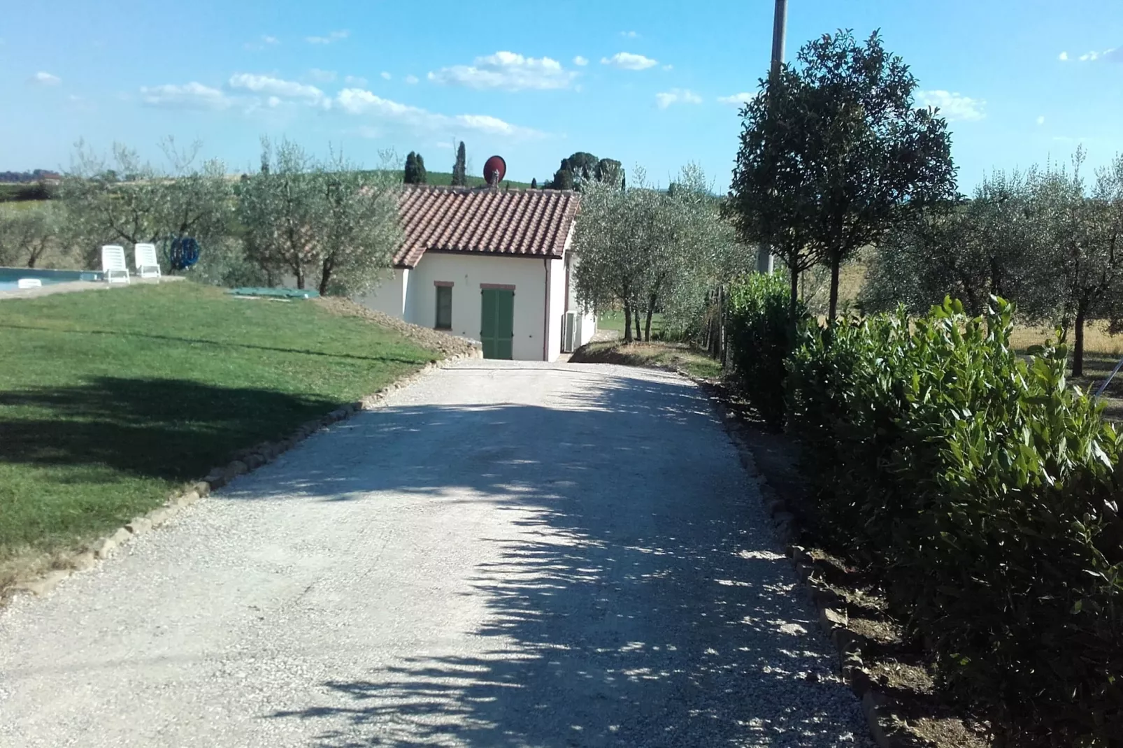 Sparsa Girasole-Gardens summer
