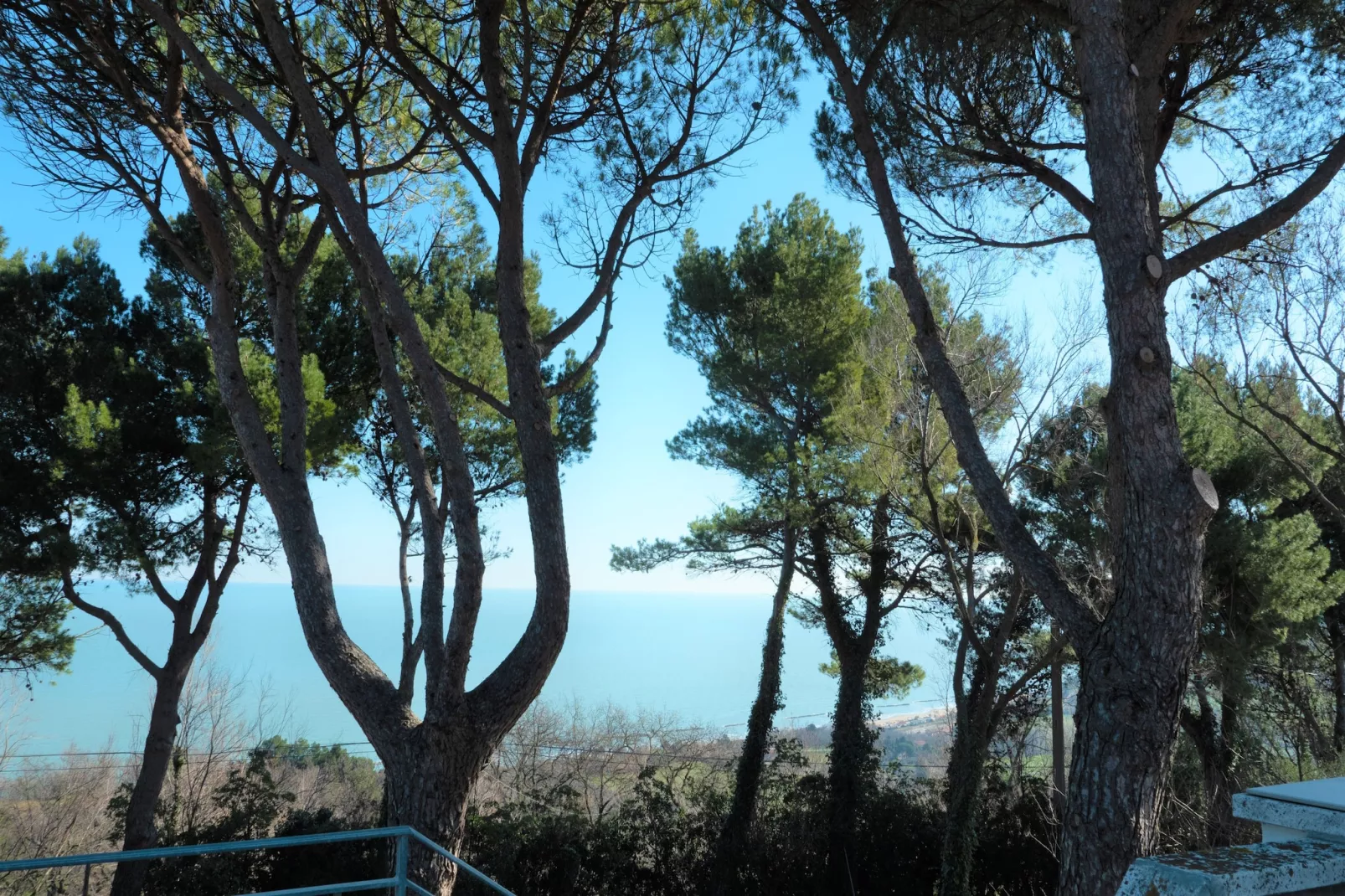 Brezza dal Mare-View summer
