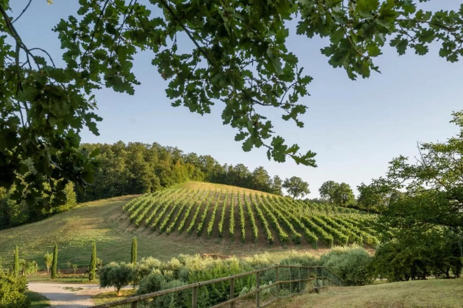 Bagnoletto-Gebiete Sommer 20 km