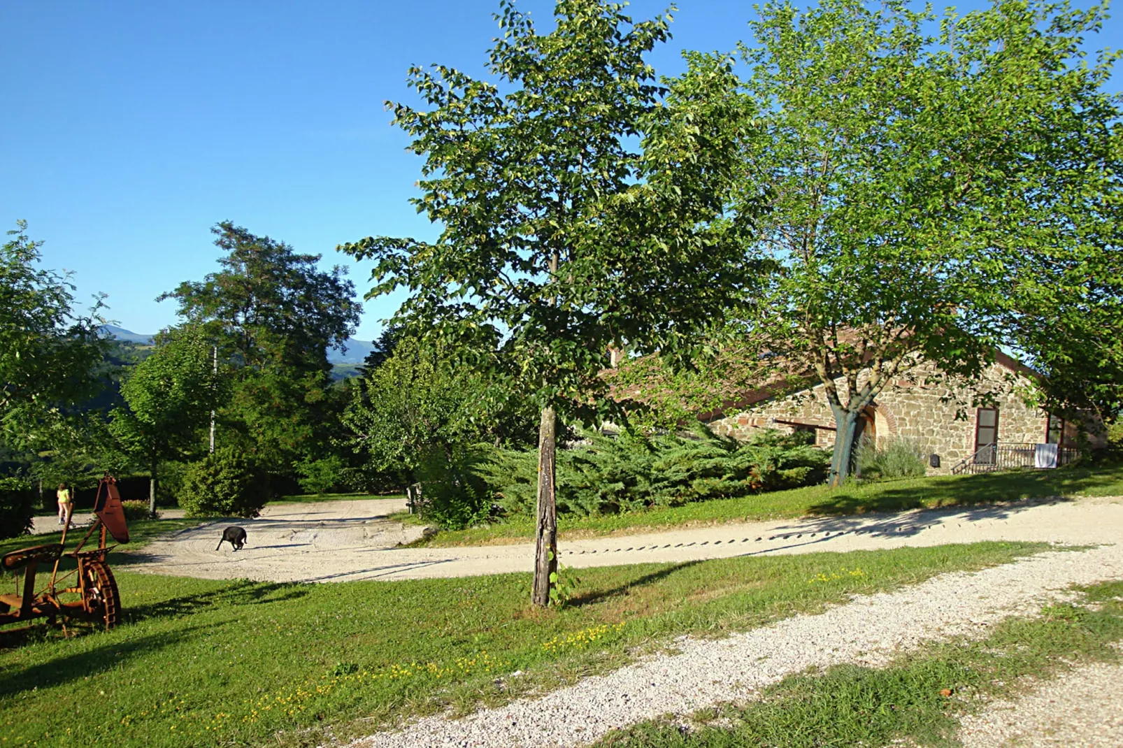 Gelsomino-Jardin d'été