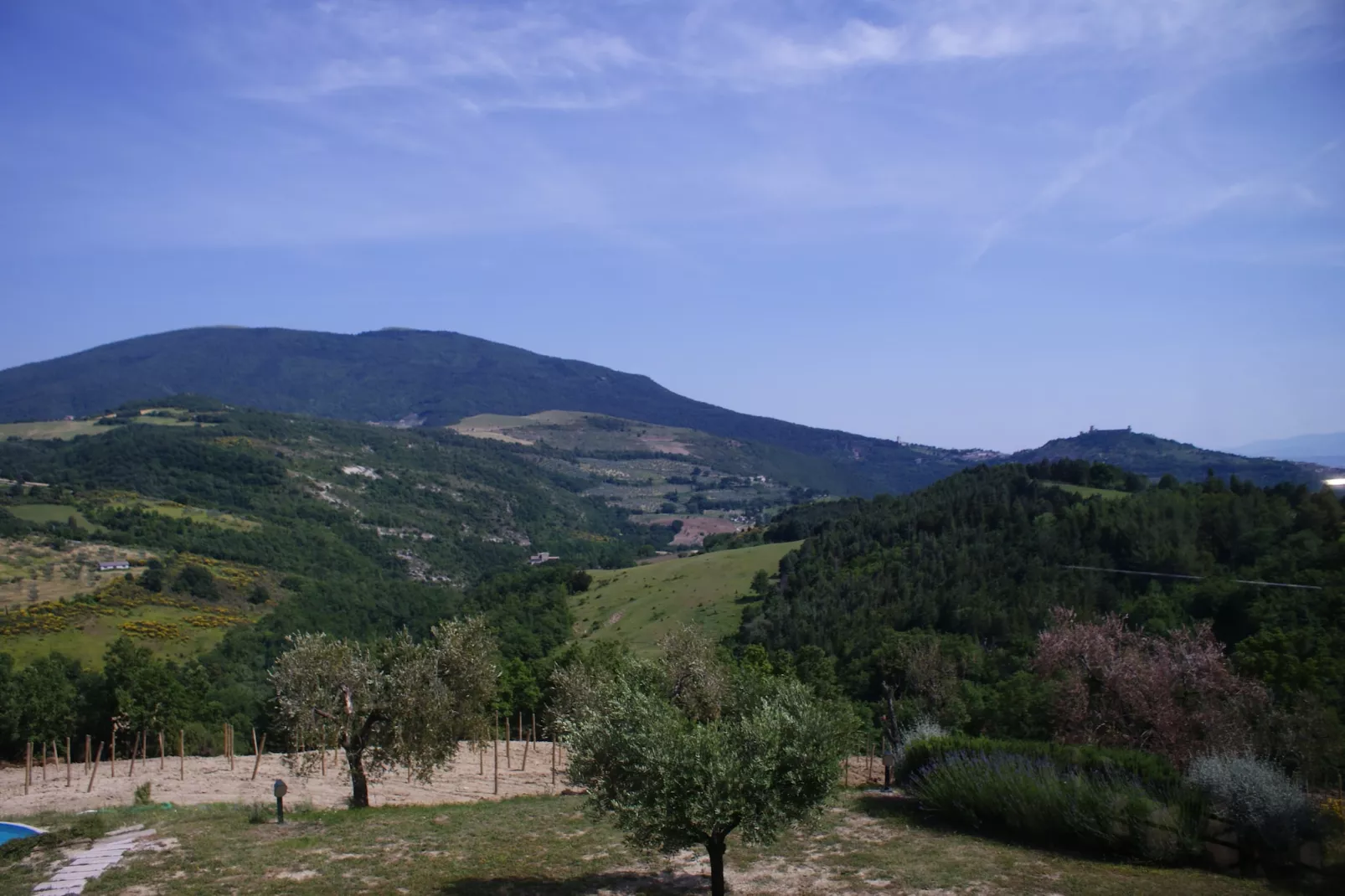 Villa Fata Morgana-View summer