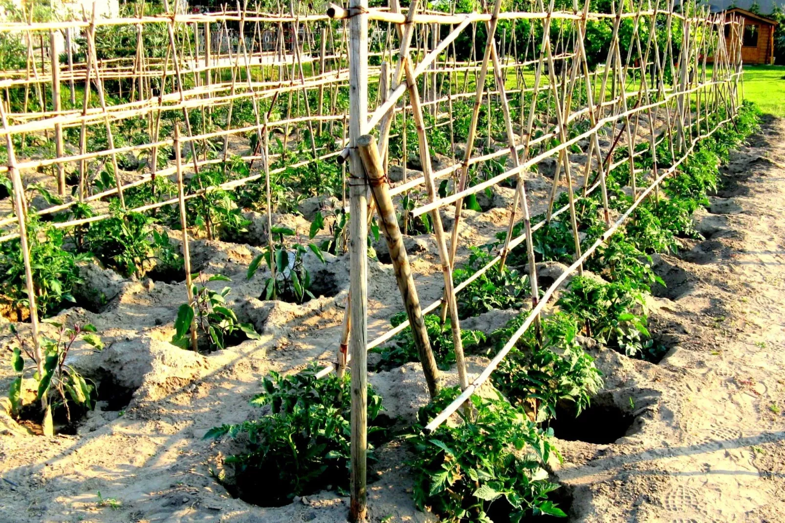 Venturi Olive-Facilities
