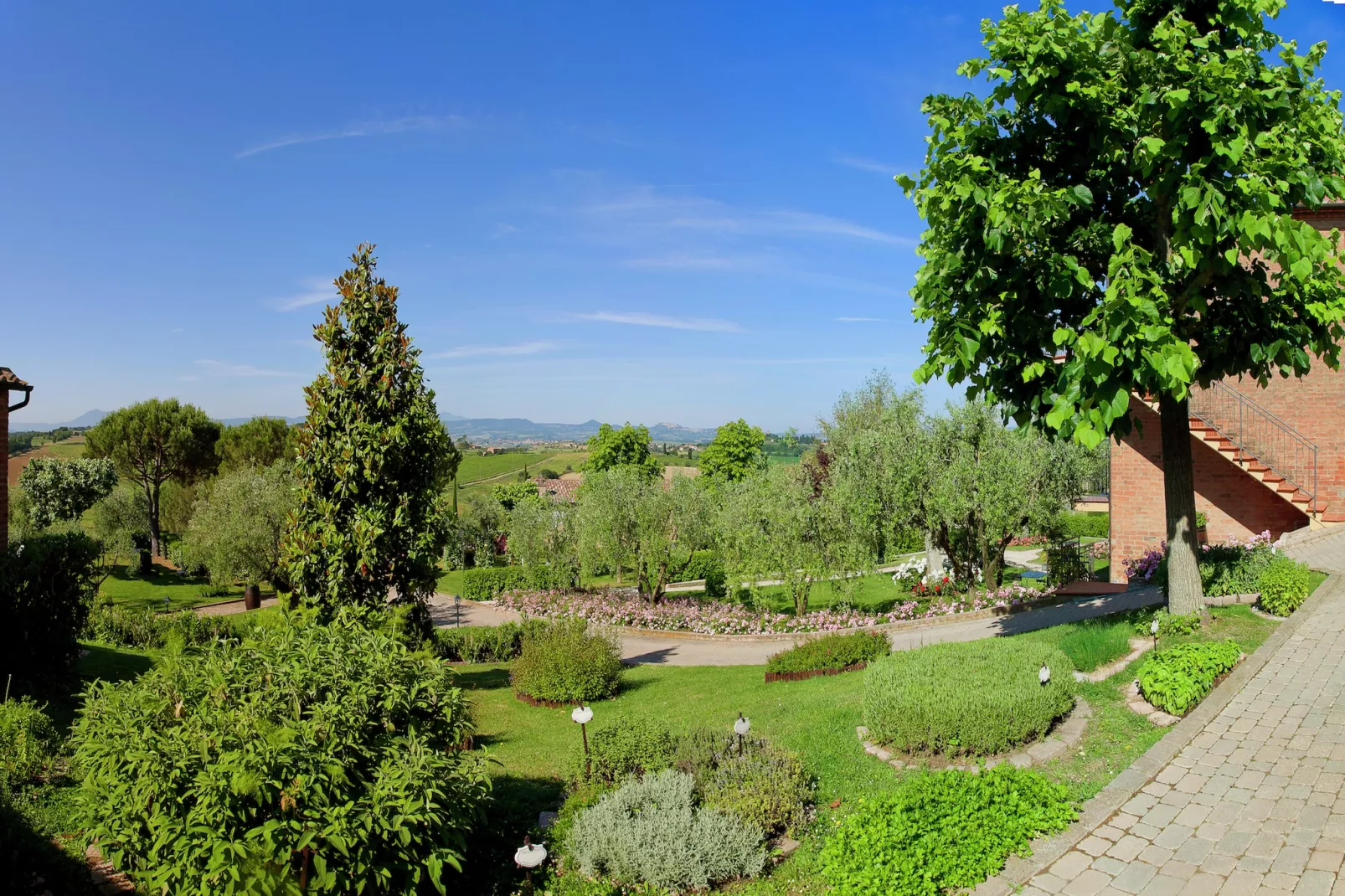 Girasole superior-Jardin d'été