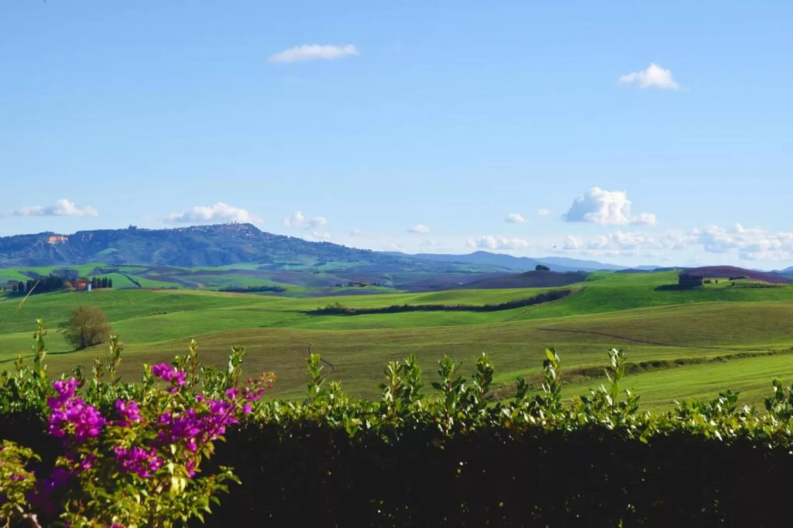 San Francesco Sangiovese-Areas summer 5km