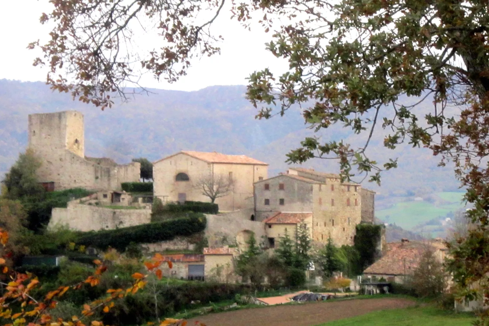 Allegria-Exterior summer