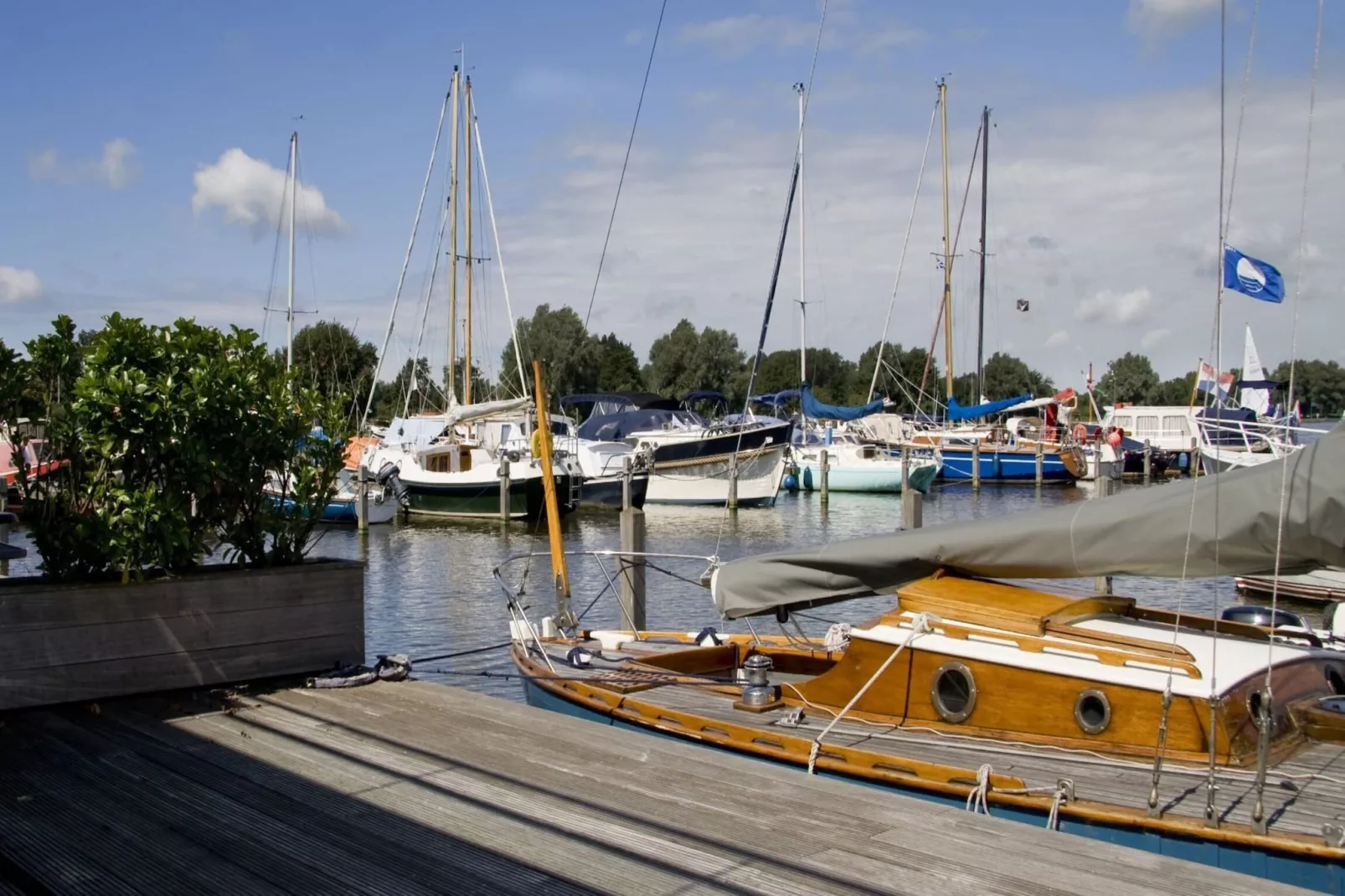 De ZeeParel Red Lobster-Zones d'été à 5 km