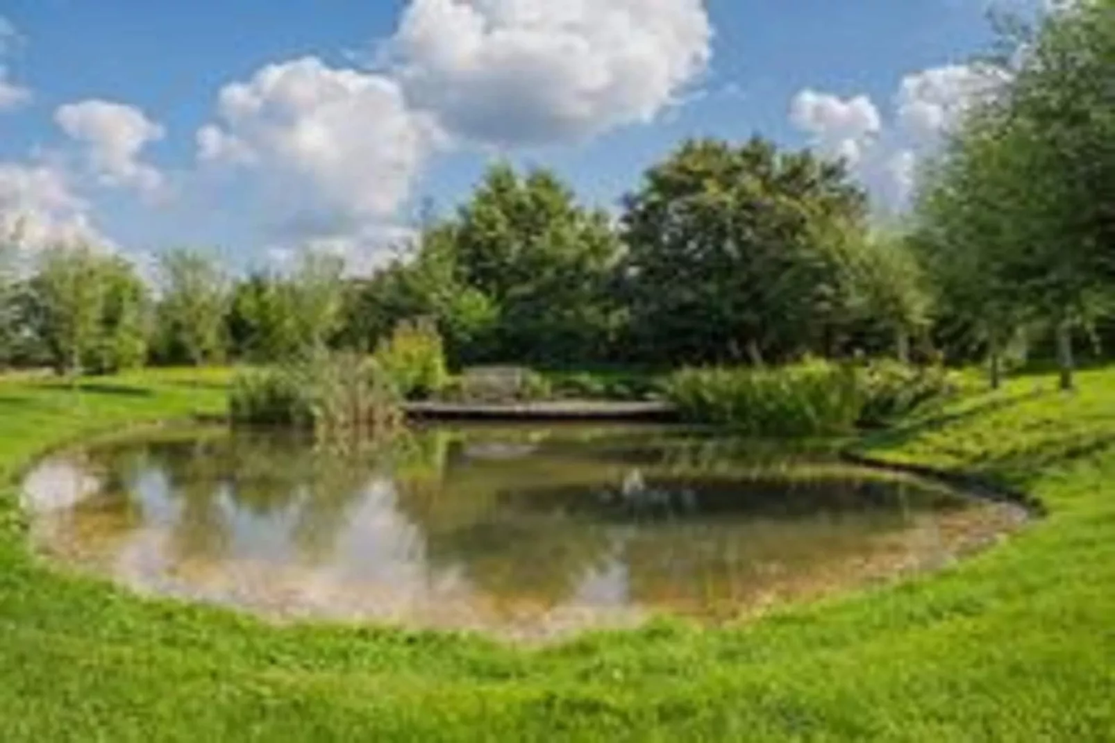 Boerderij Dwingelderveld-Gebiete Sommer 5 km