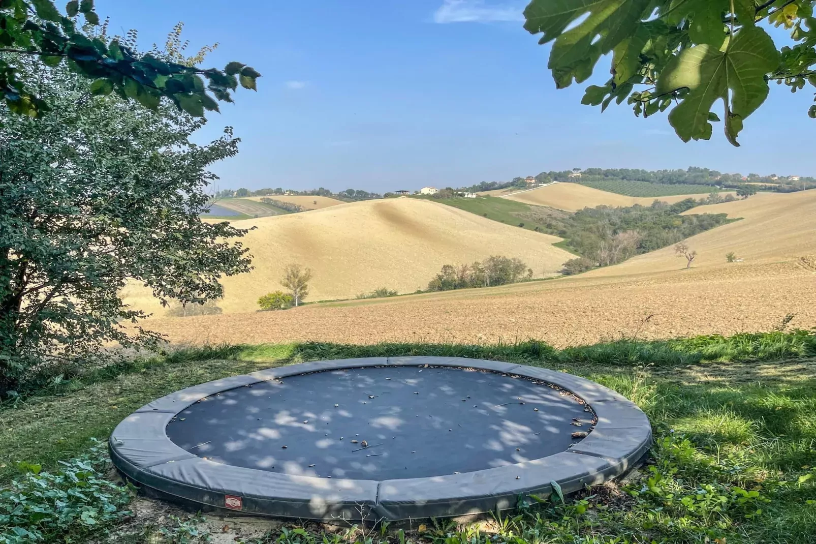 Il Sogno delle Api-Installations