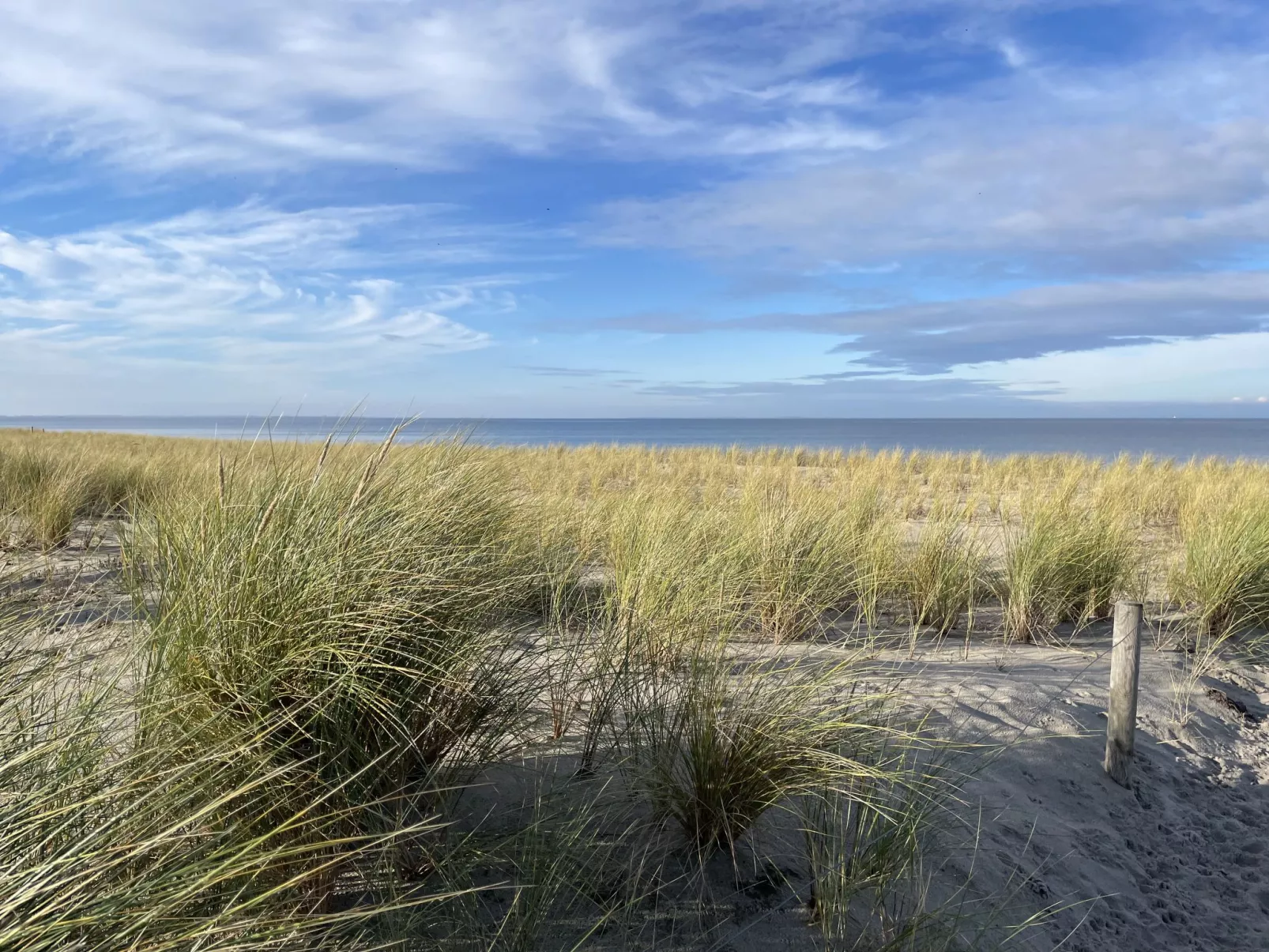 Strandvilla (LUB117)-Dehors
