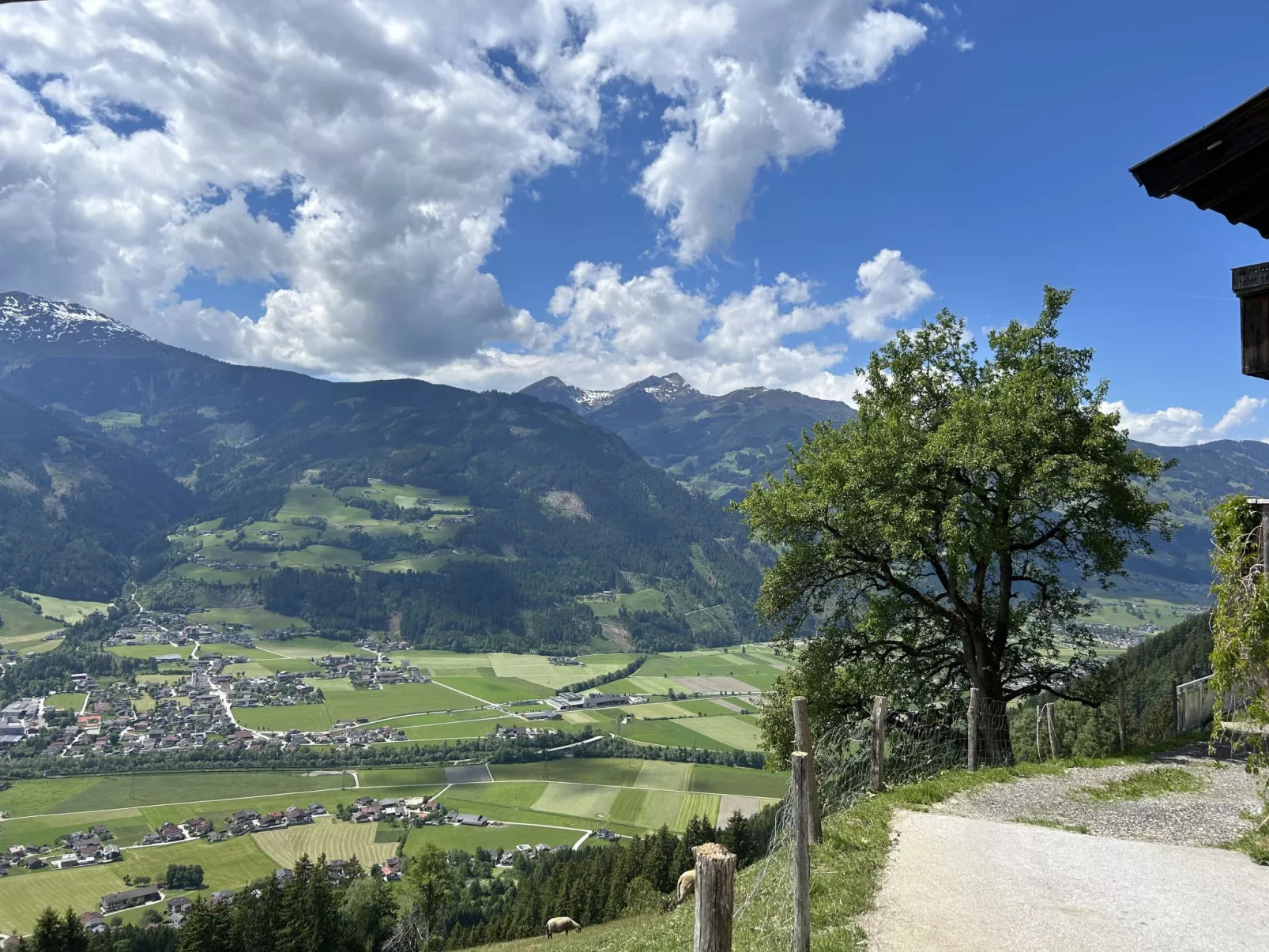 Hochzillertalblick