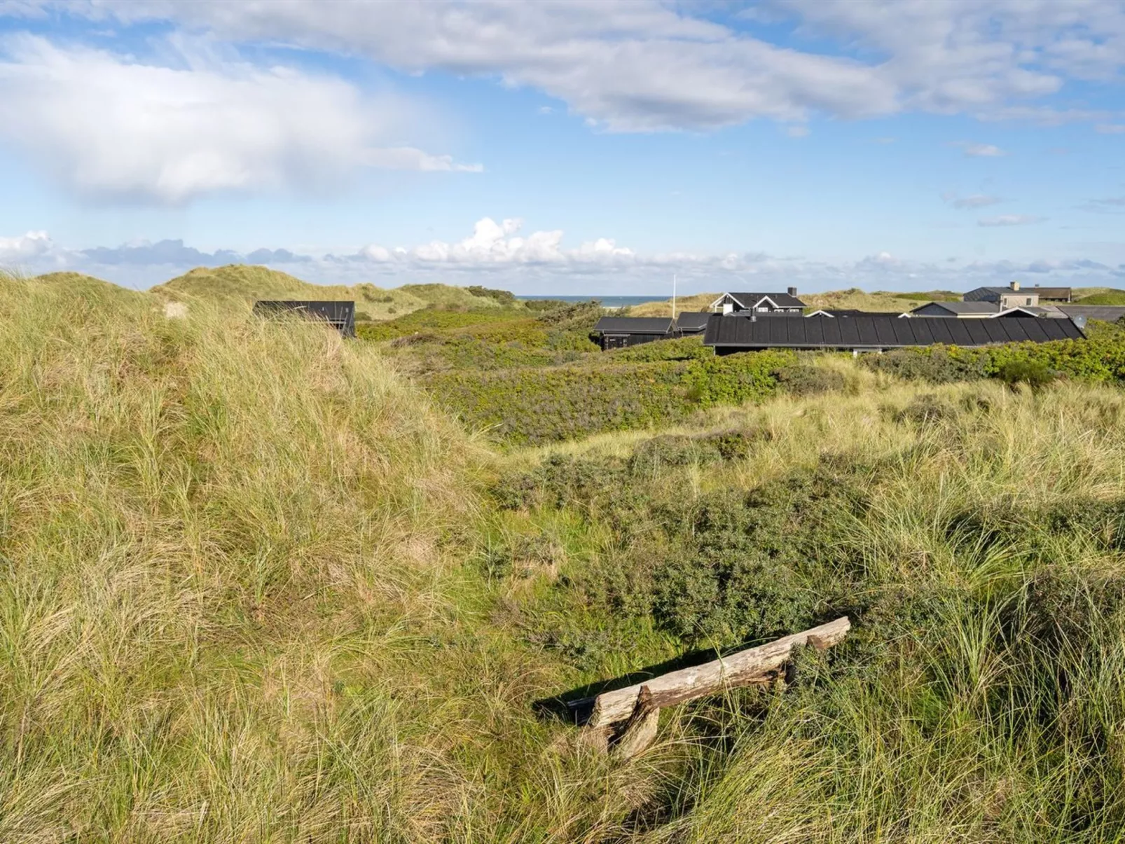 "Dana" - 290m from the sea-Outside