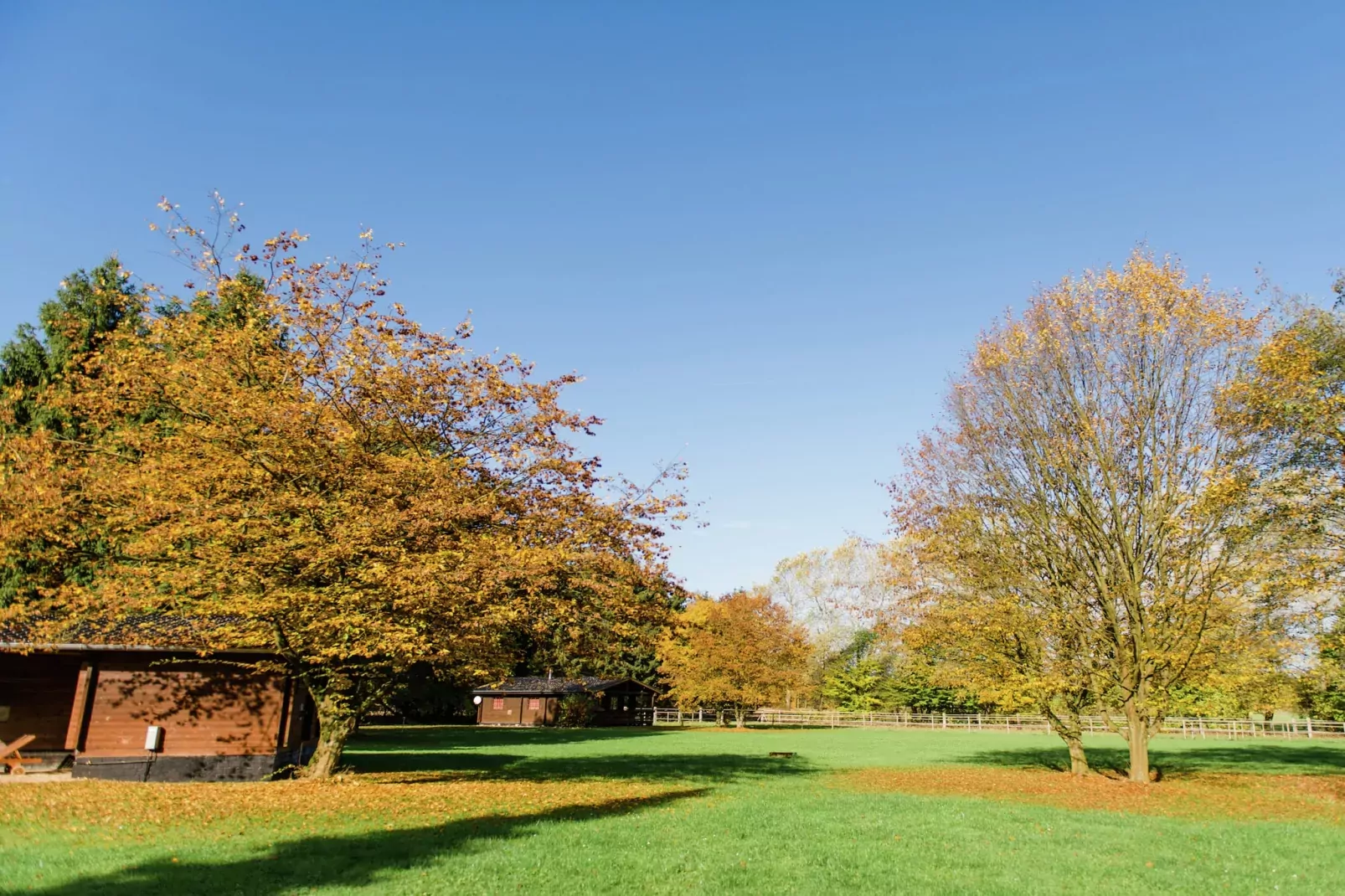 Lüneburger Heide-Garten Sommer
