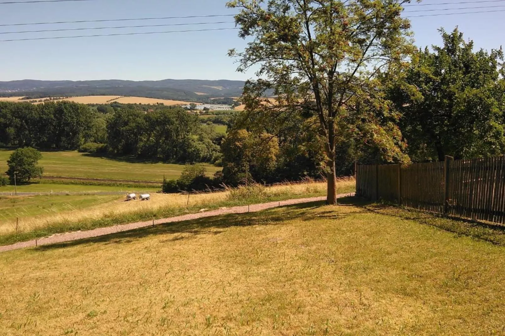 Hohe Rhön-Gebiete Sommer 20 km