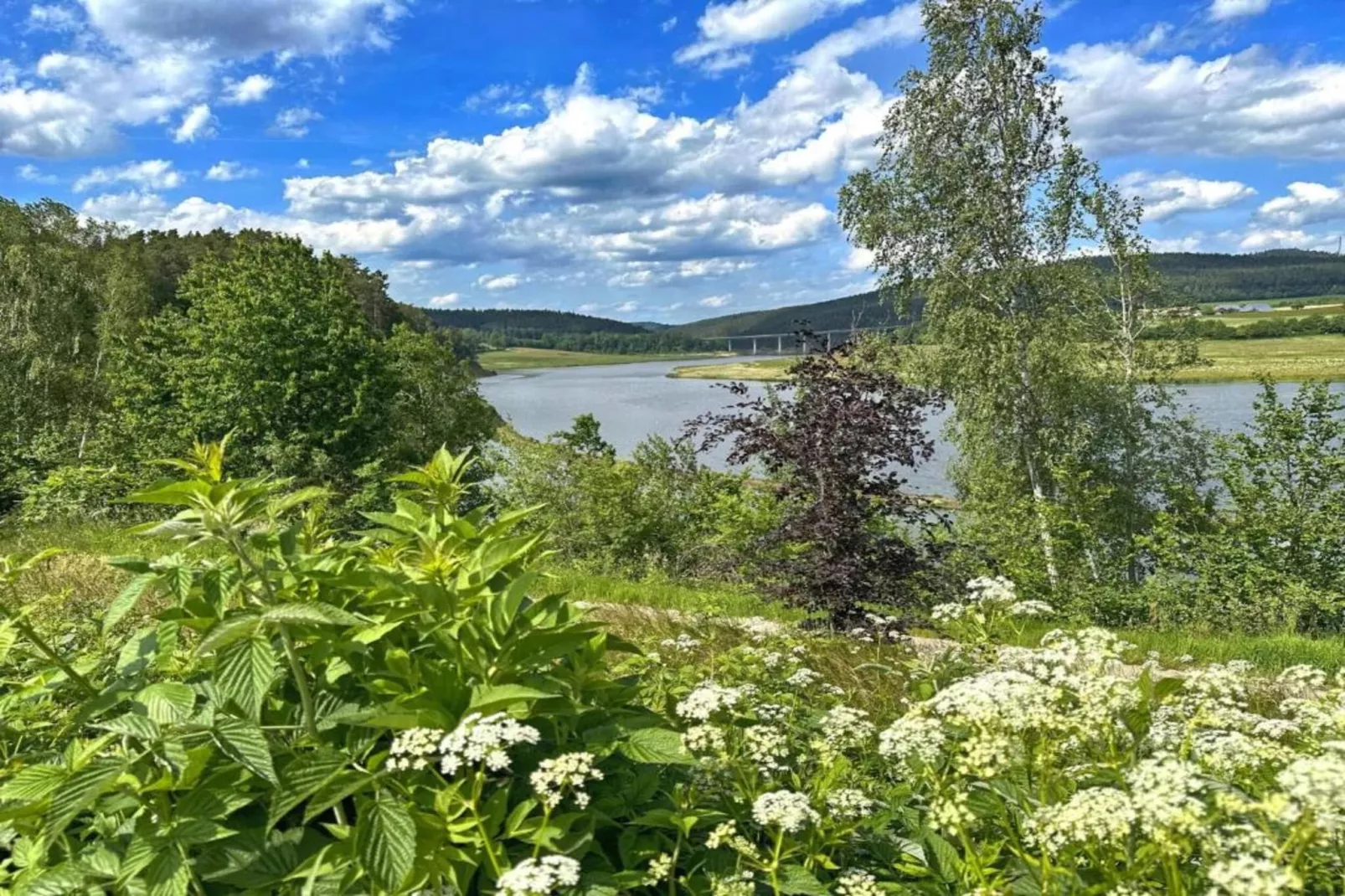 FERIENDORF SEEBLICK - Tiny Chalet am Eixendorfer See-Areas summer 20km