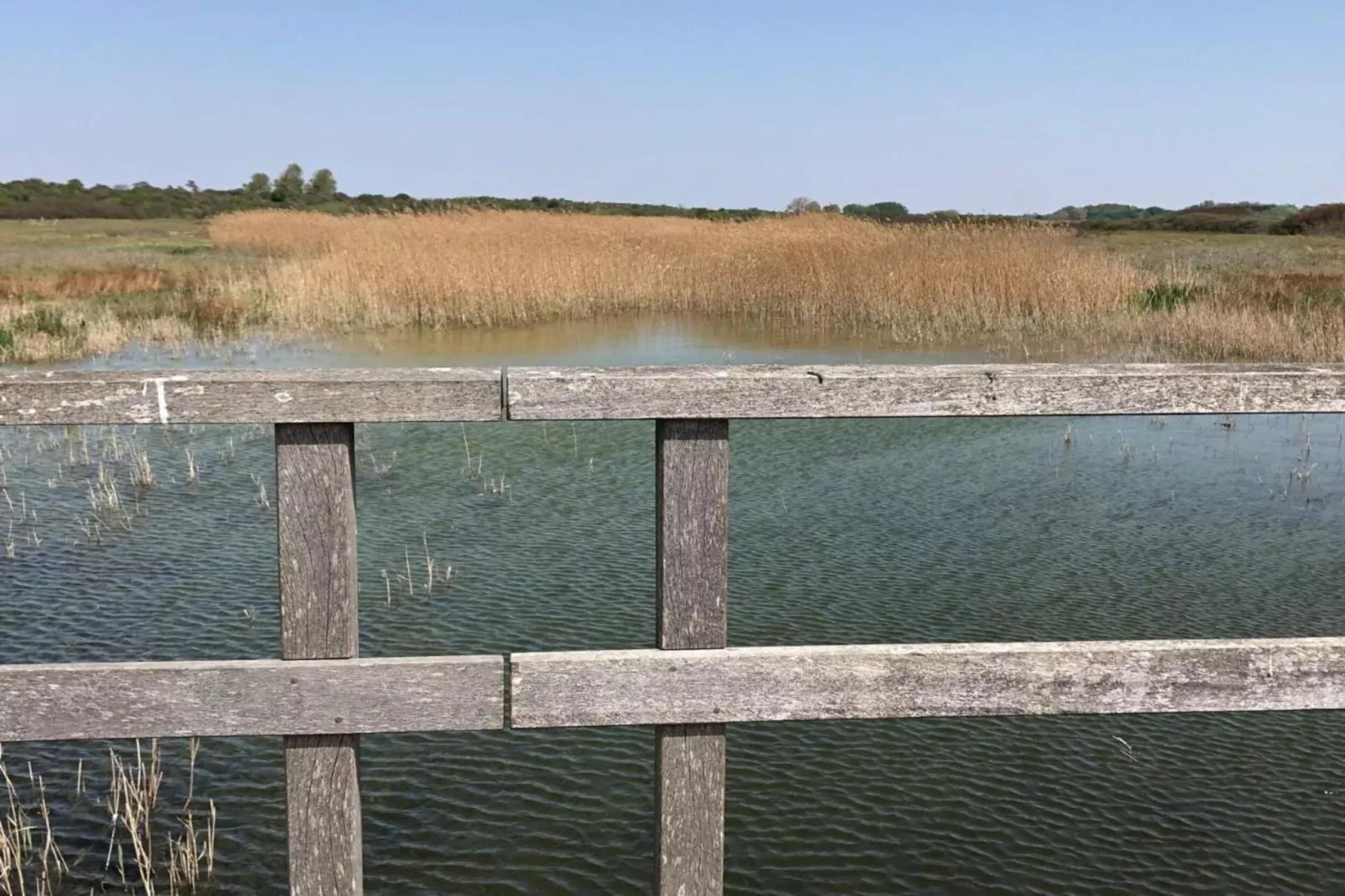 Fantail-Areas summer 5km