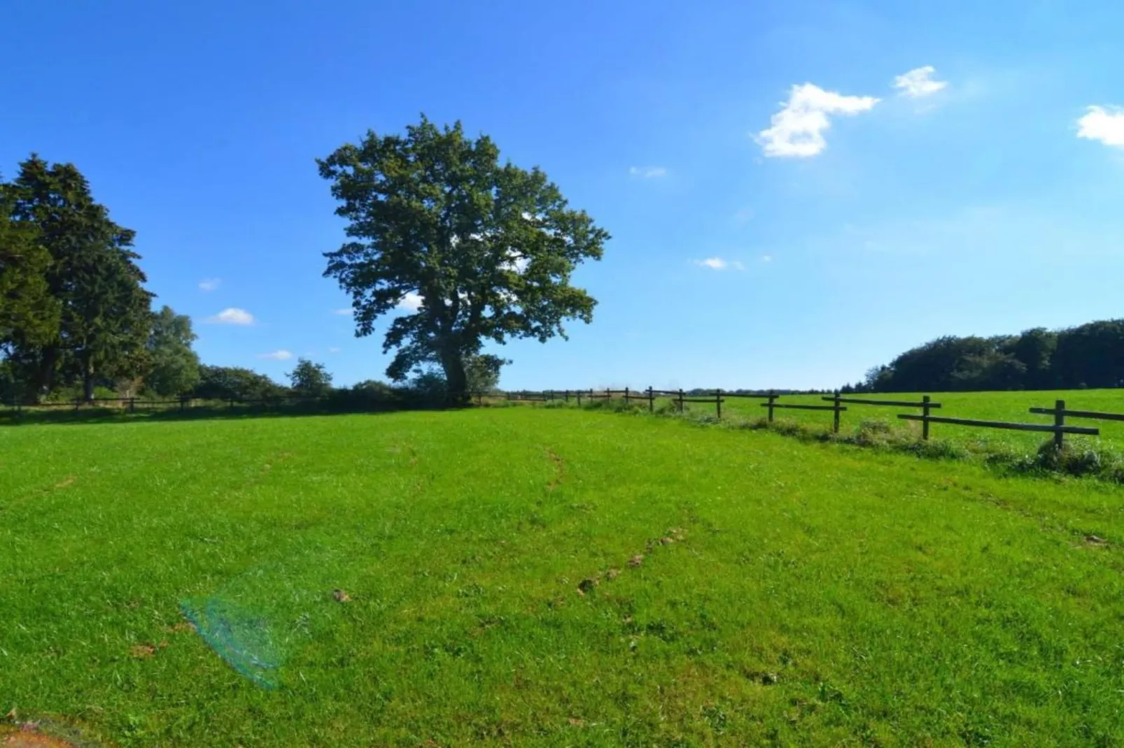 Villa Wulp - H003-Gebiete Sommer 20 km