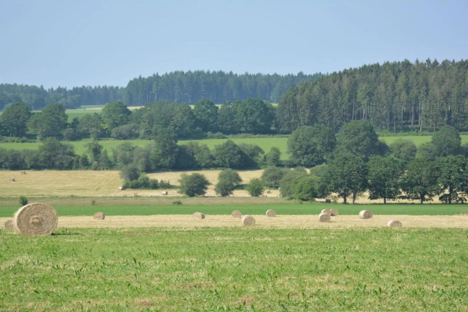 Luxe vakantiehuis Veluwe met Wellness-Areas summer 20km