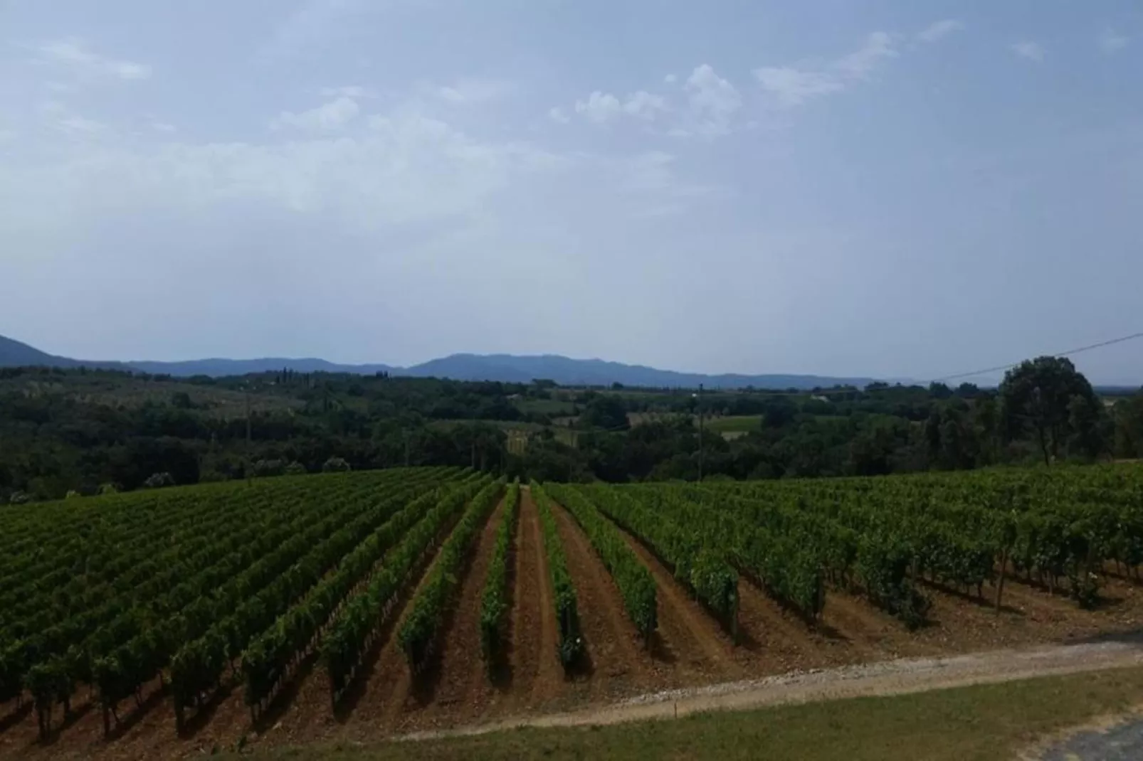 Bilo-Areas summer 20km