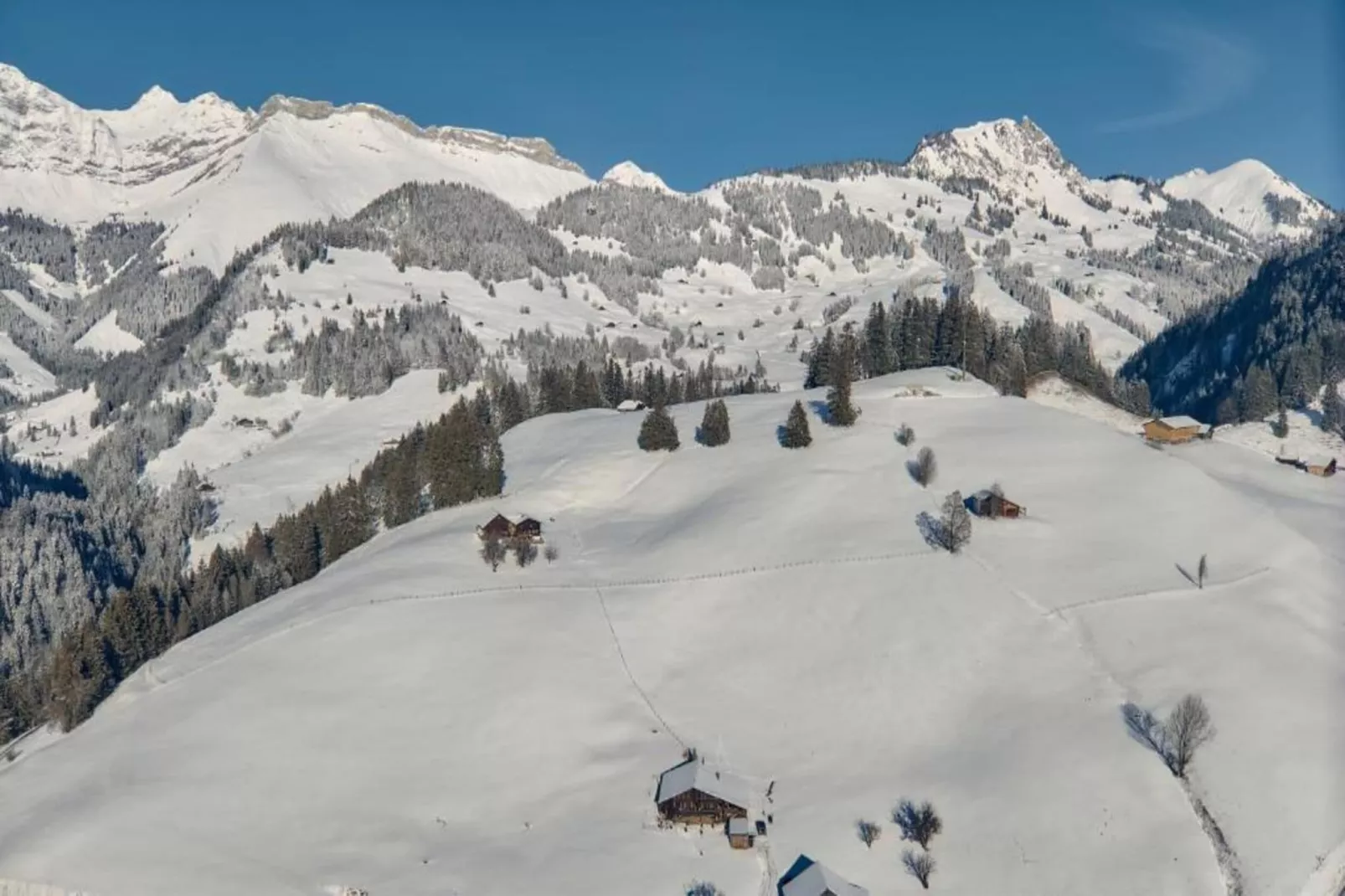 Beautiful Alpine Luxury Flat in Rougemont-Areas summer 20km