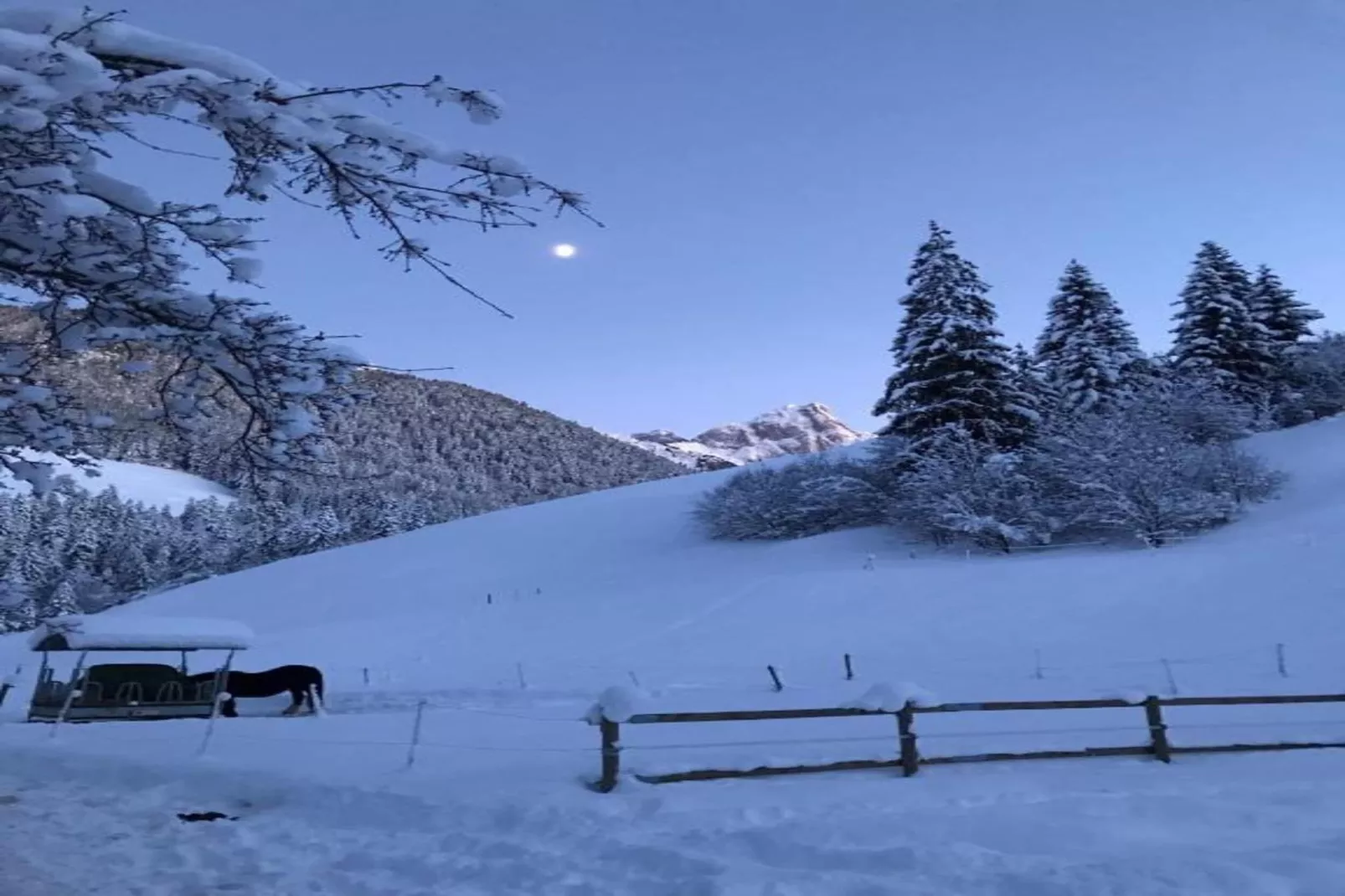 Beautiful Modern Chalet in the Gstaad Region-Gebiet Winter 5 km