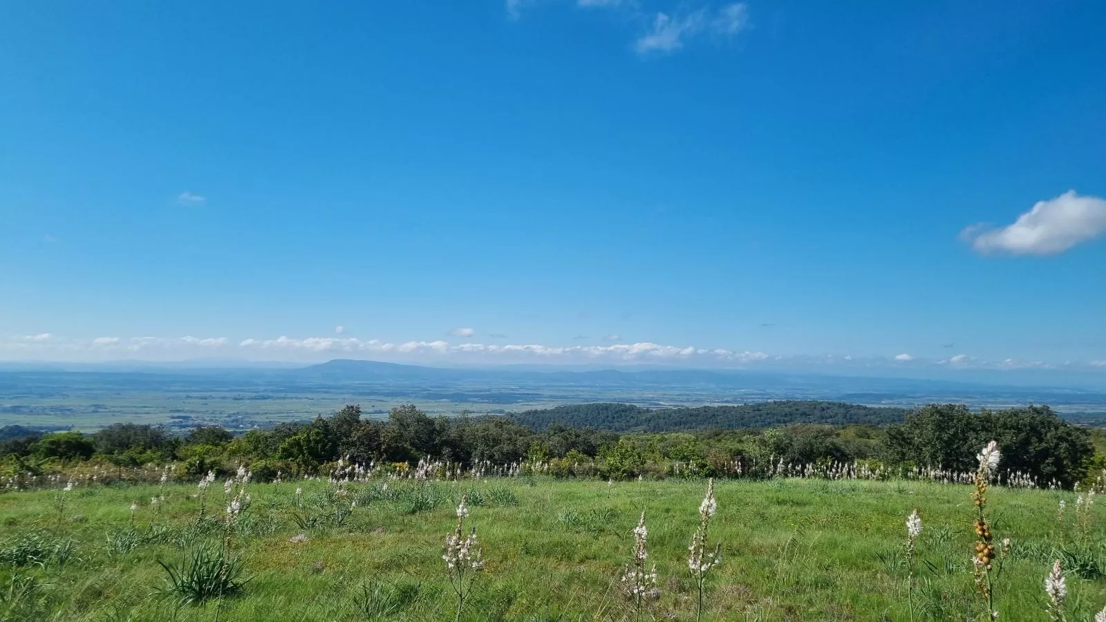 Olivier-Areas summer 5km