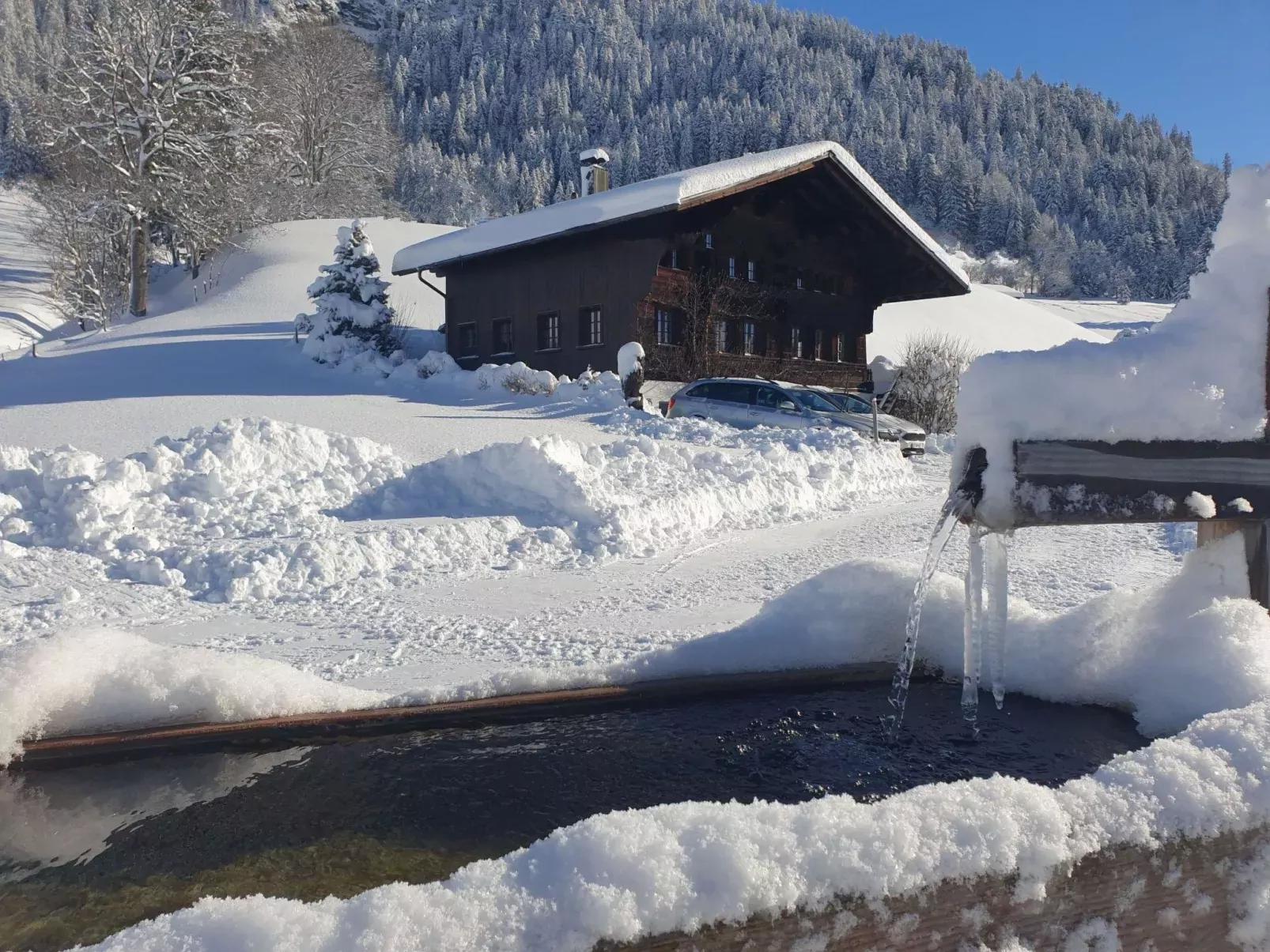 Aerneli, Chalet-Drinnen
