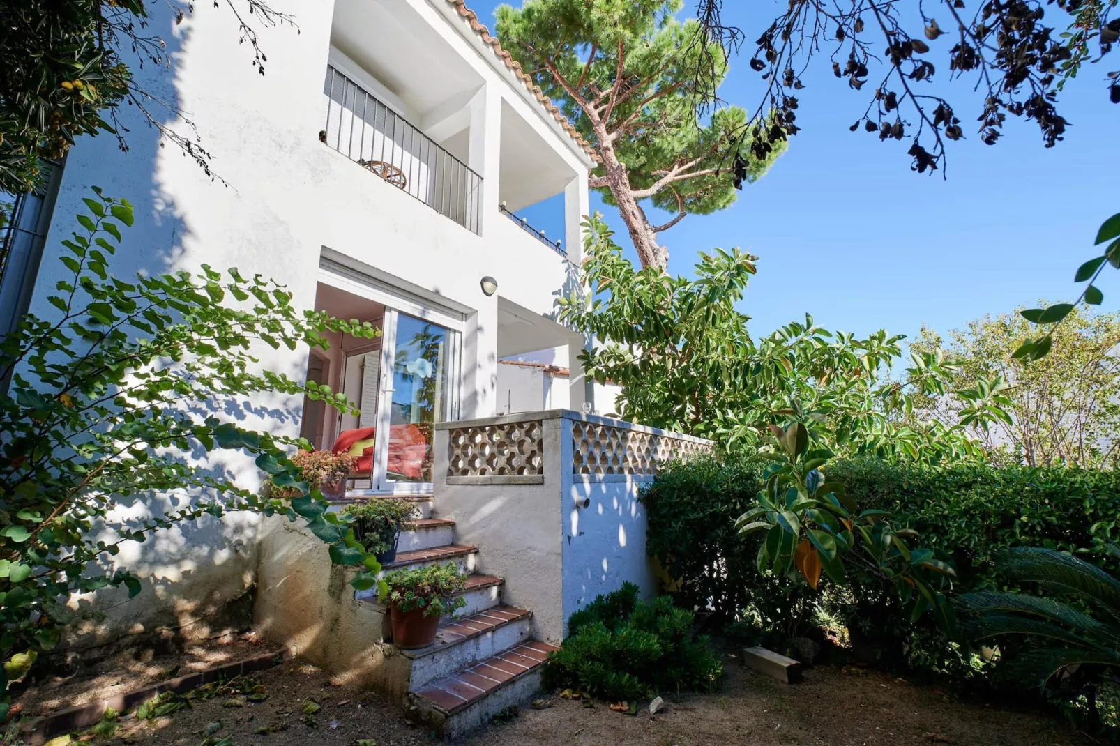 Aurora 4-Exterior summer