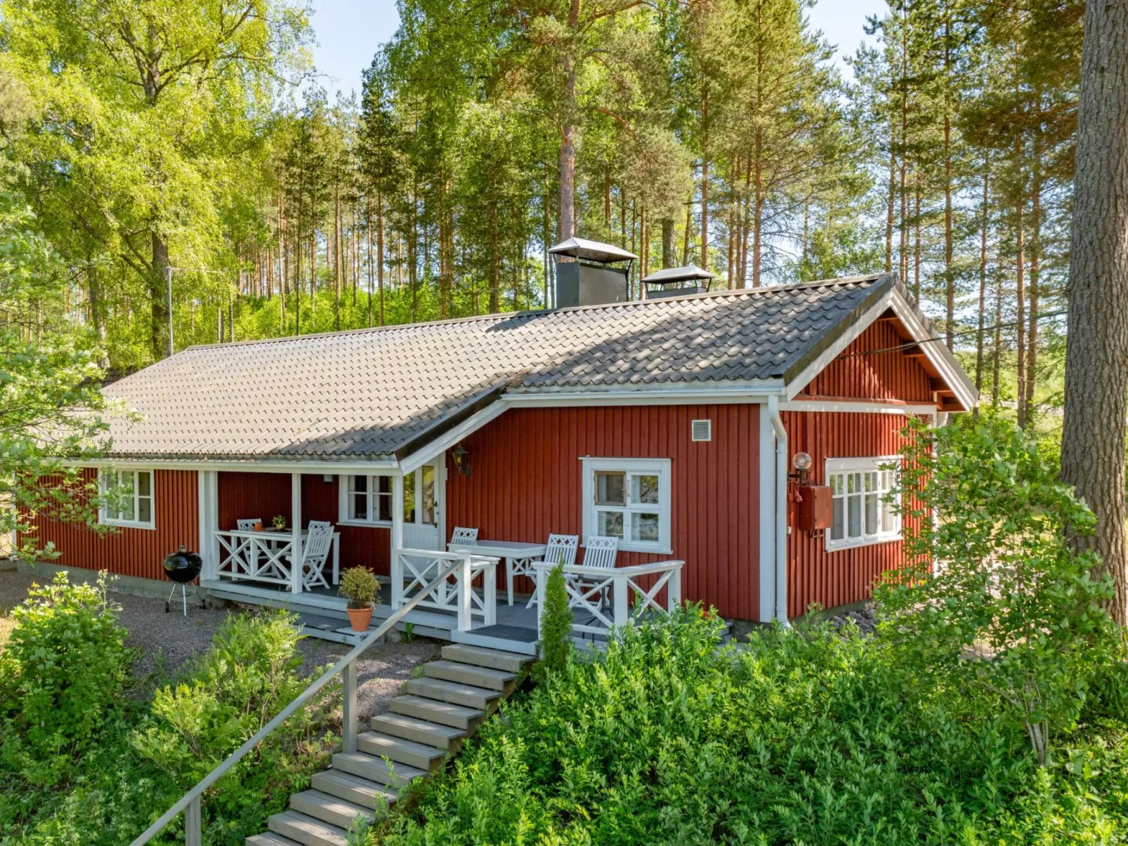 Punatulkku