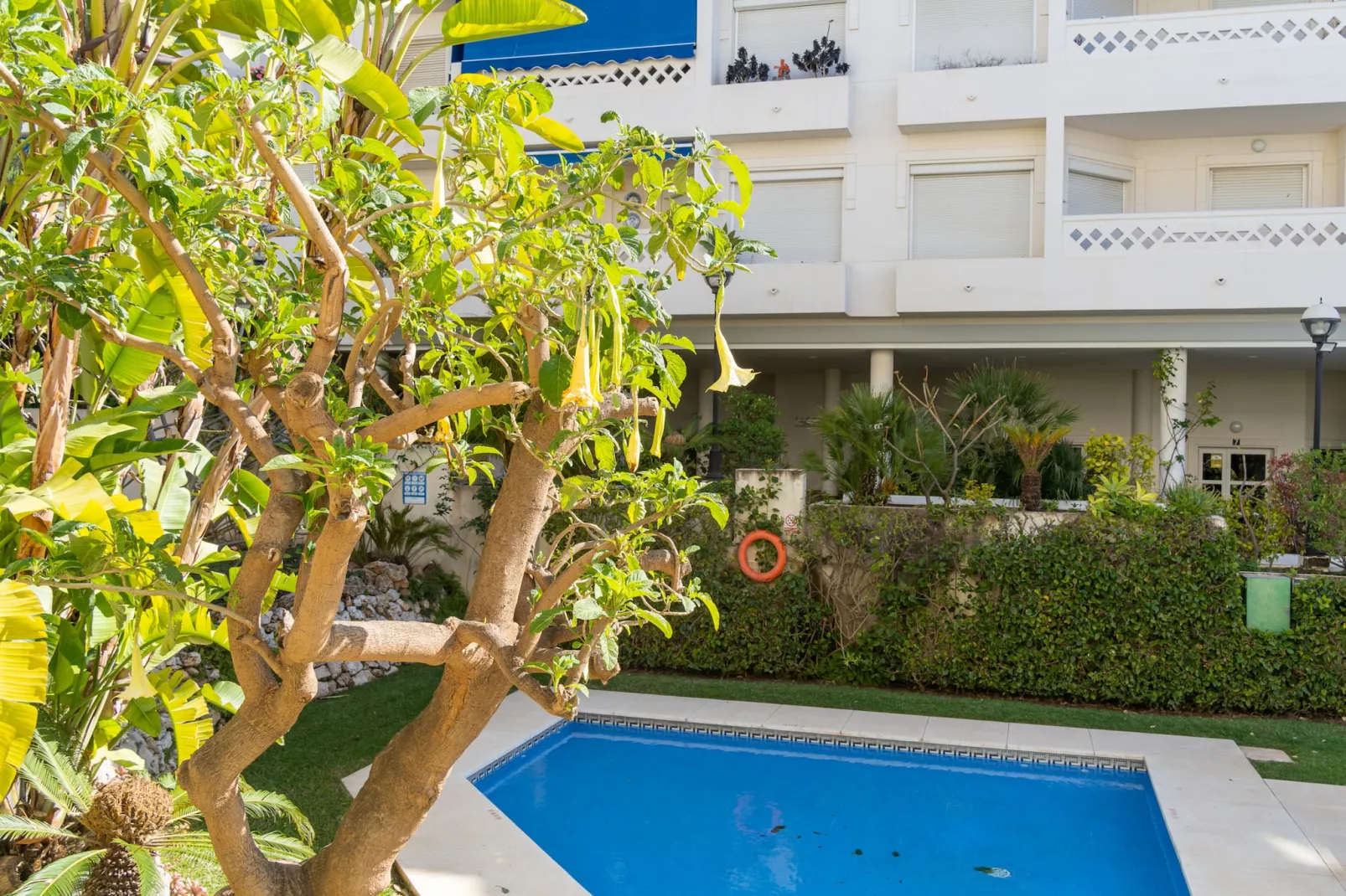 poolofhouse