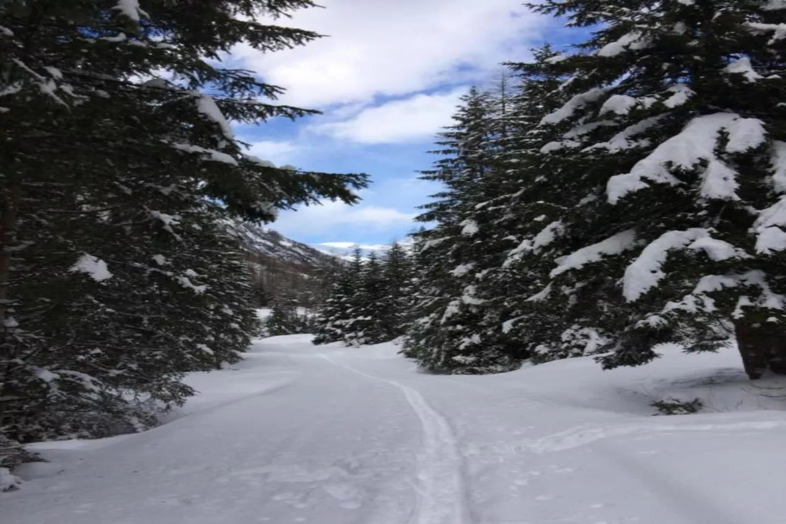 Haus Schweiger-Gebiet Winter 20 km