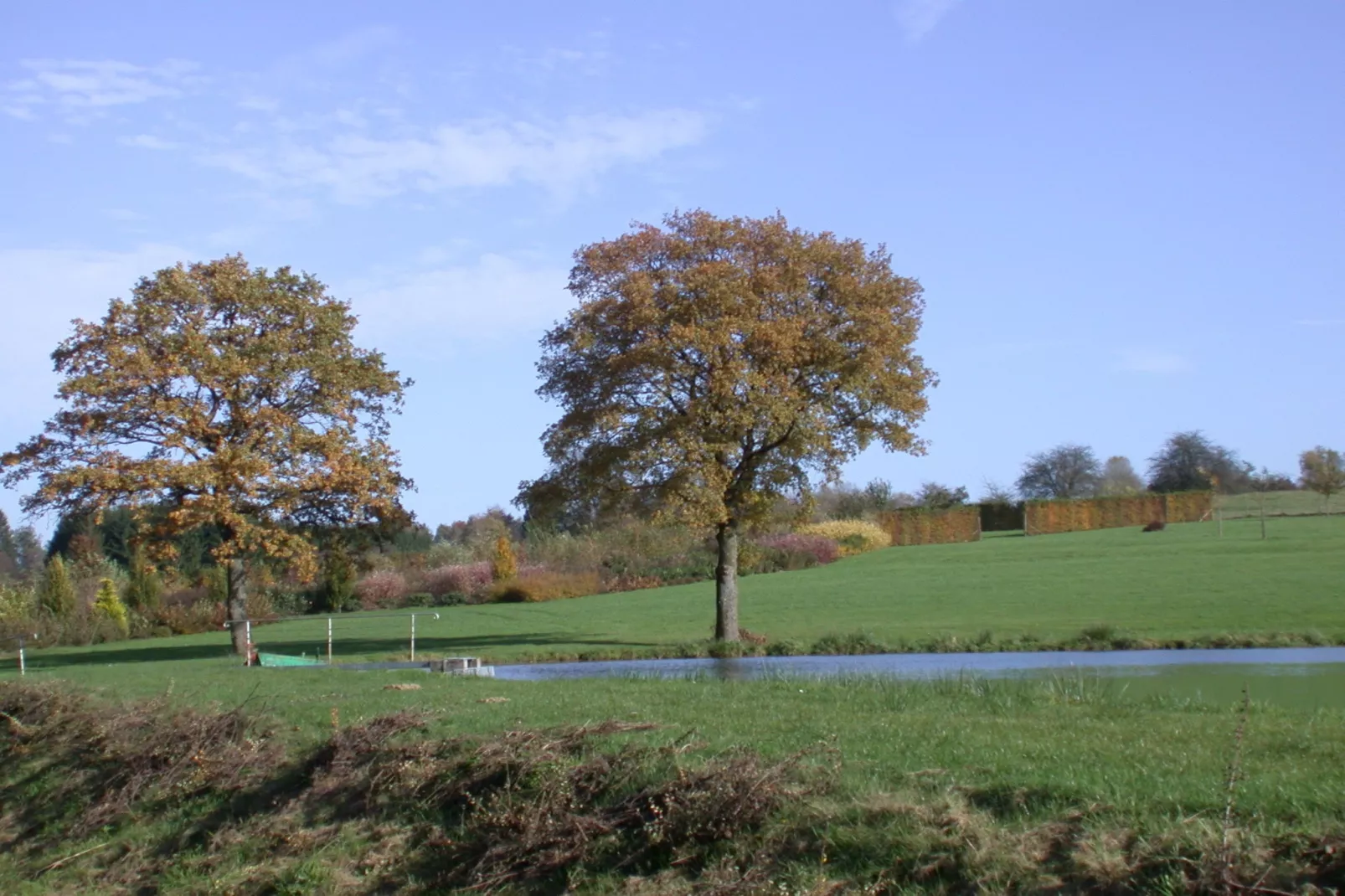 Le Tilleul-Areas summer 20km